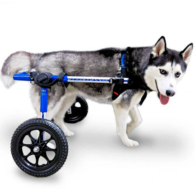 Anpassbarer Rollstuhl für Hunde | Unterstützung und vollständige Hilfe - Image 5