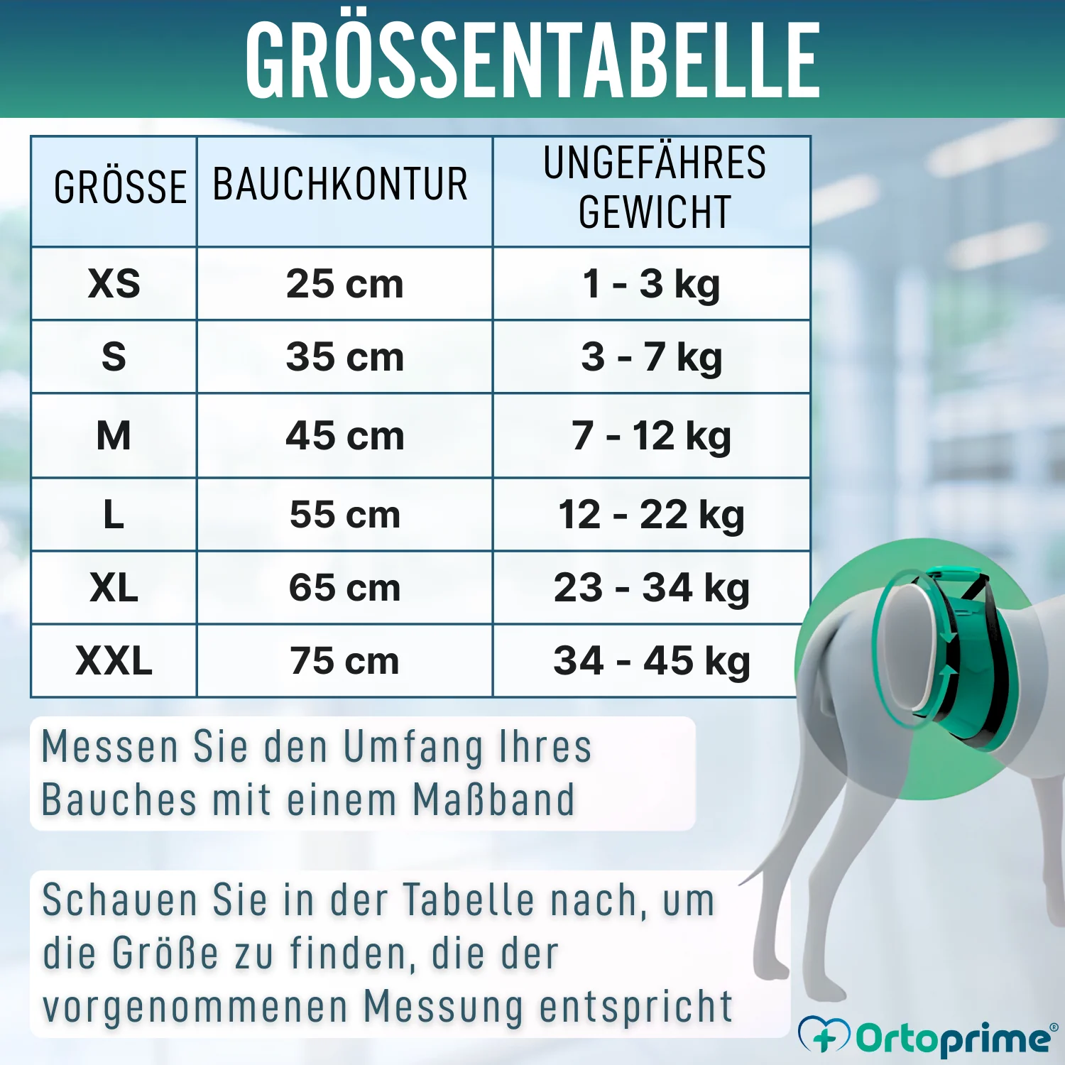 Anti-Leckband für Inkontinenz bei Hunden | Männlicher Hund - Image 2