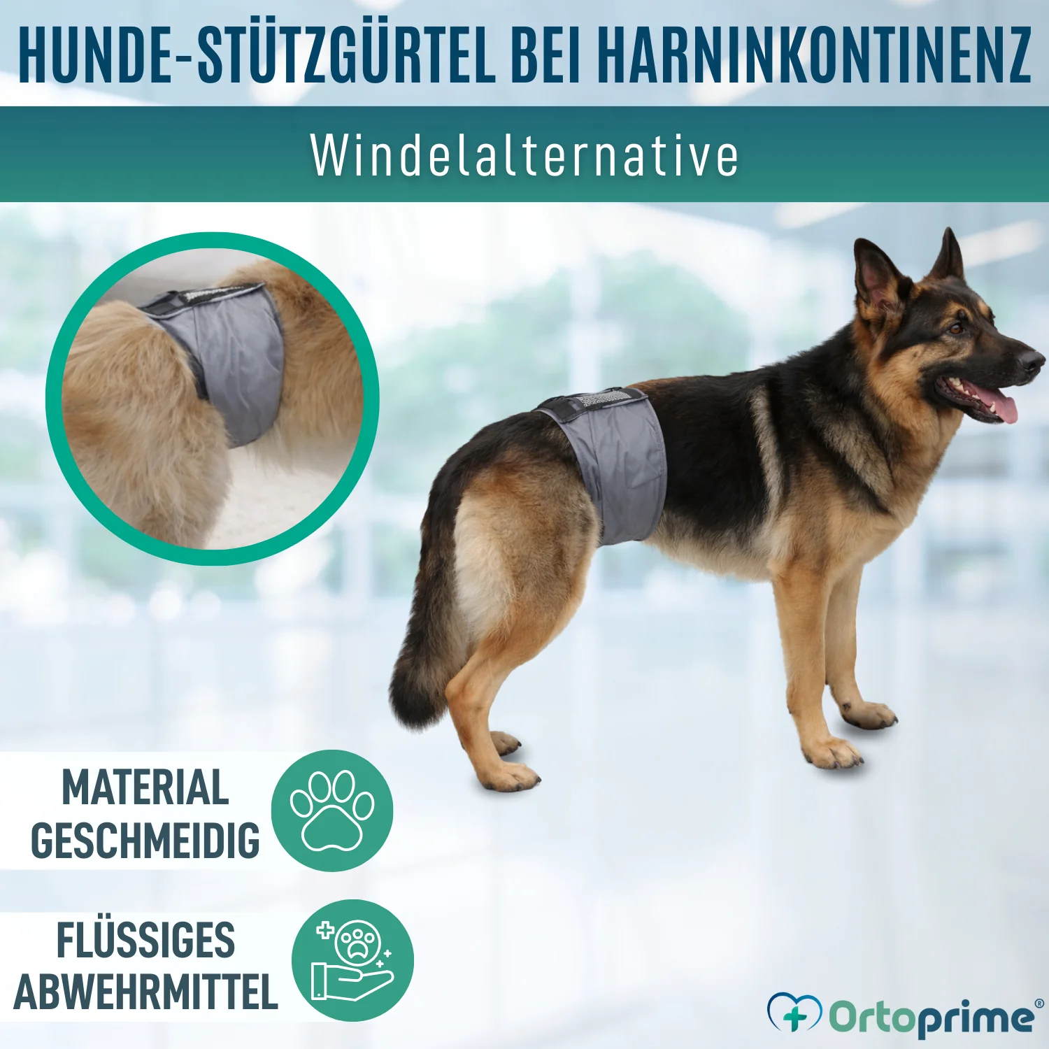 Anti-Leckband für Inkontinenz bei Hunden | Männlicher Hund - Image 4