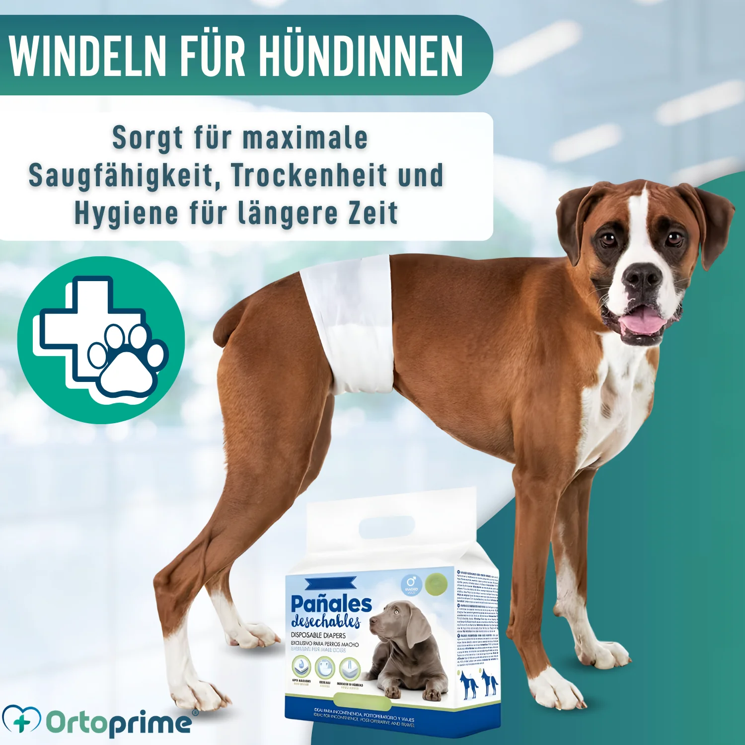 Hundewindeln für Rüden Ultra Saugfähig | 12er Pack - Image 6