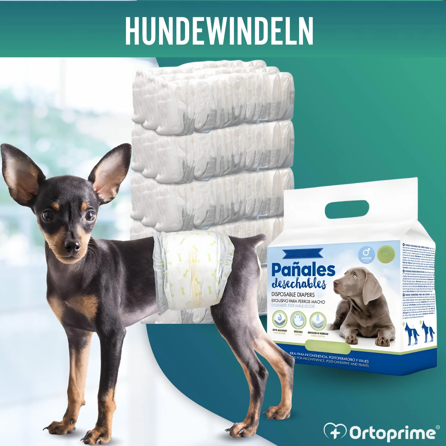 Hundewindeln für Rüden Ultra Saugfähig | 12er Pack - Image 7