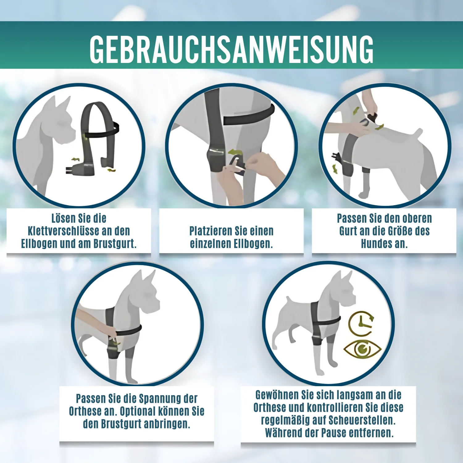 Ellbogenorthese für Hunde mit Arthrose Gelenkrehabilitation - Image 9