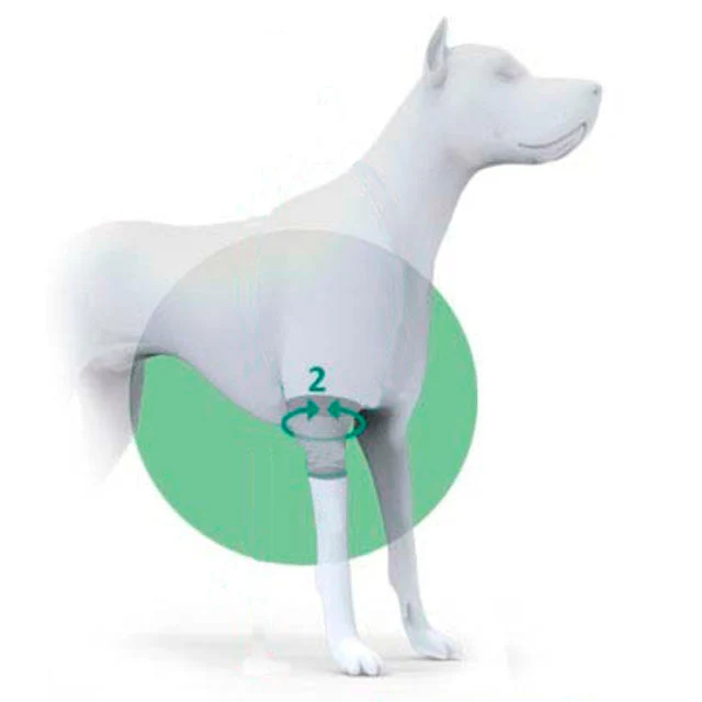 Ellenbogenschoner für Hunde mit Klettverschluss | Nach Größe - Image 3