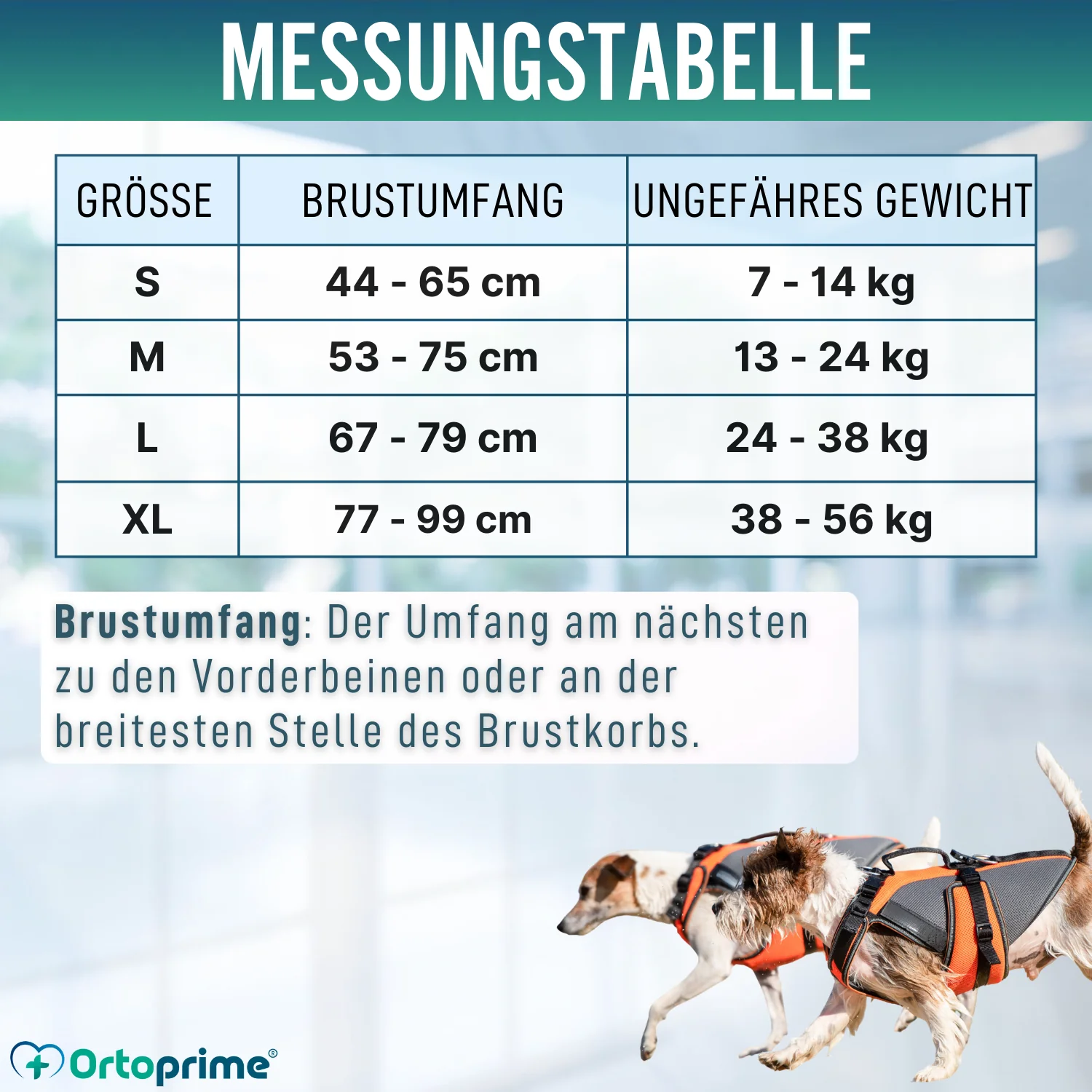 Ganzheitliches Rehabilitationsgeschirr für Hunde | 3D-Material - Image 2
