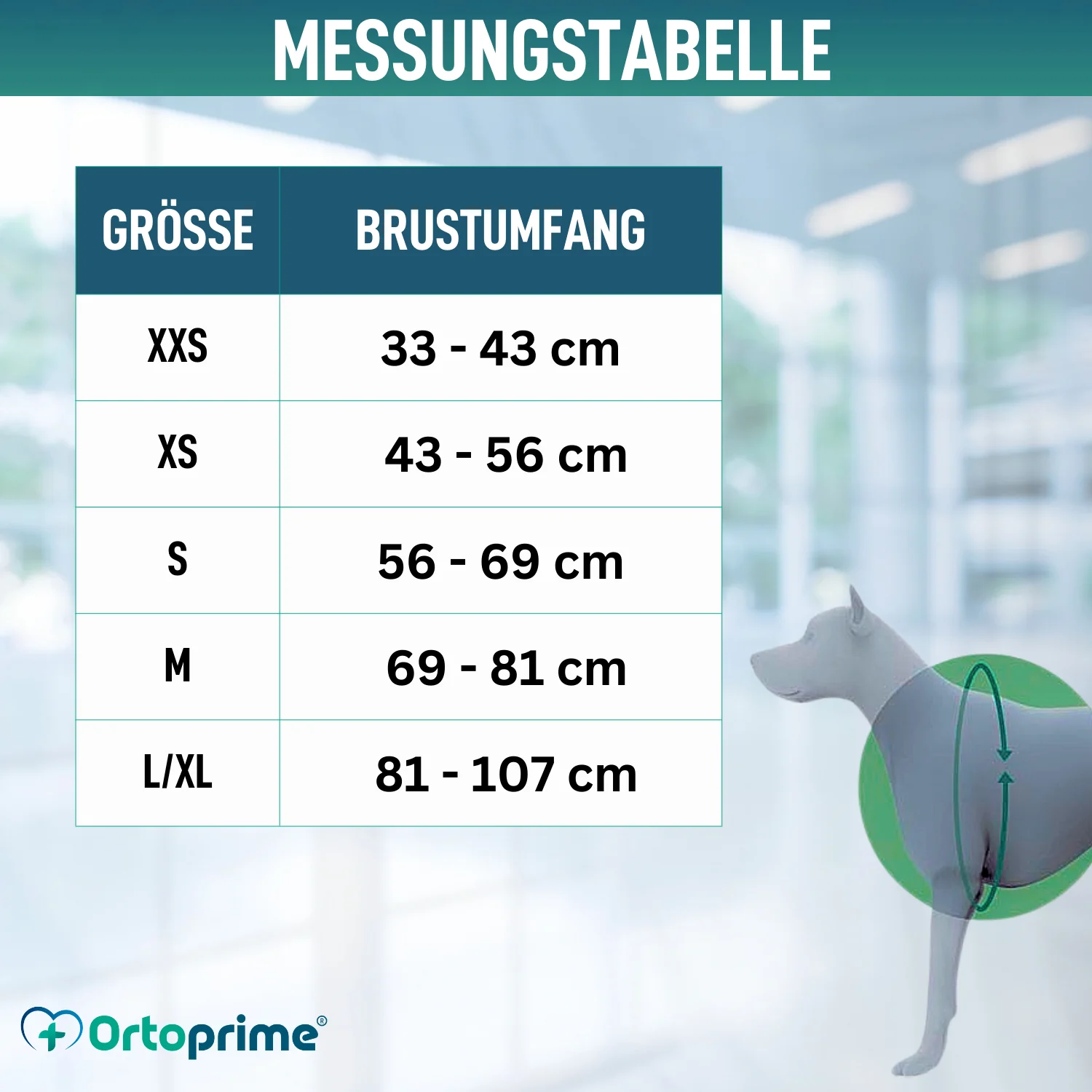 Gepolstertes Hundegeschirr für den Alltag | Doppelte Befestigung - Image 2