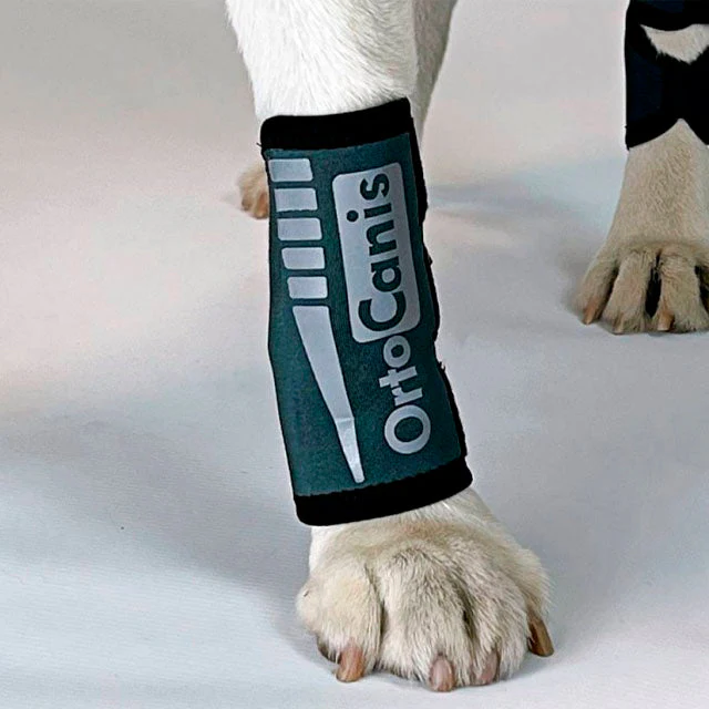 Handgelenkbandage für Hunde mit Sehnen- oder Muskelverletzungen - Image 7