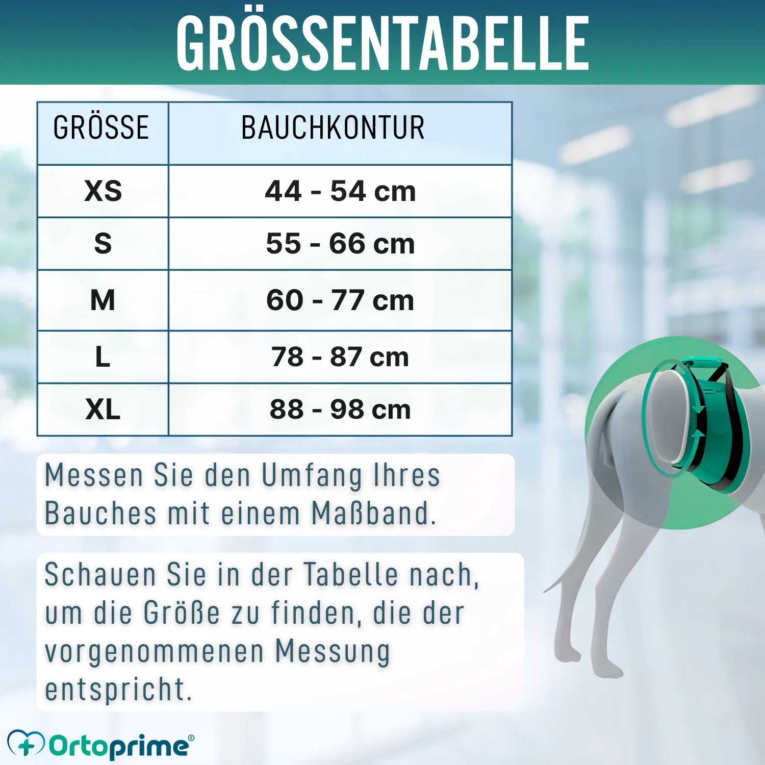 Hilfe-Band für Hunde mit Eingeschränkter Mobilität | 5 Größen - Image 2