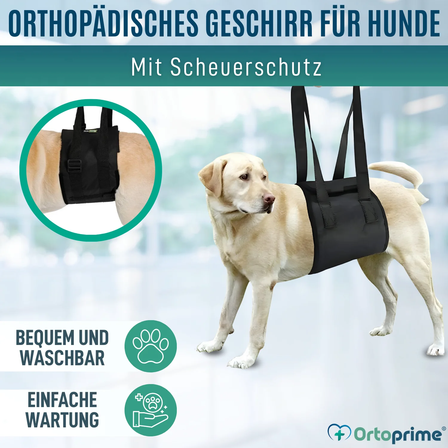 Hilfe-Band für Hunde mit Eingeschränkter Mobilität | 5 Größen - Image 4