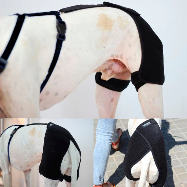Hüftstütze für Hunde | Nach Größe - Image 5