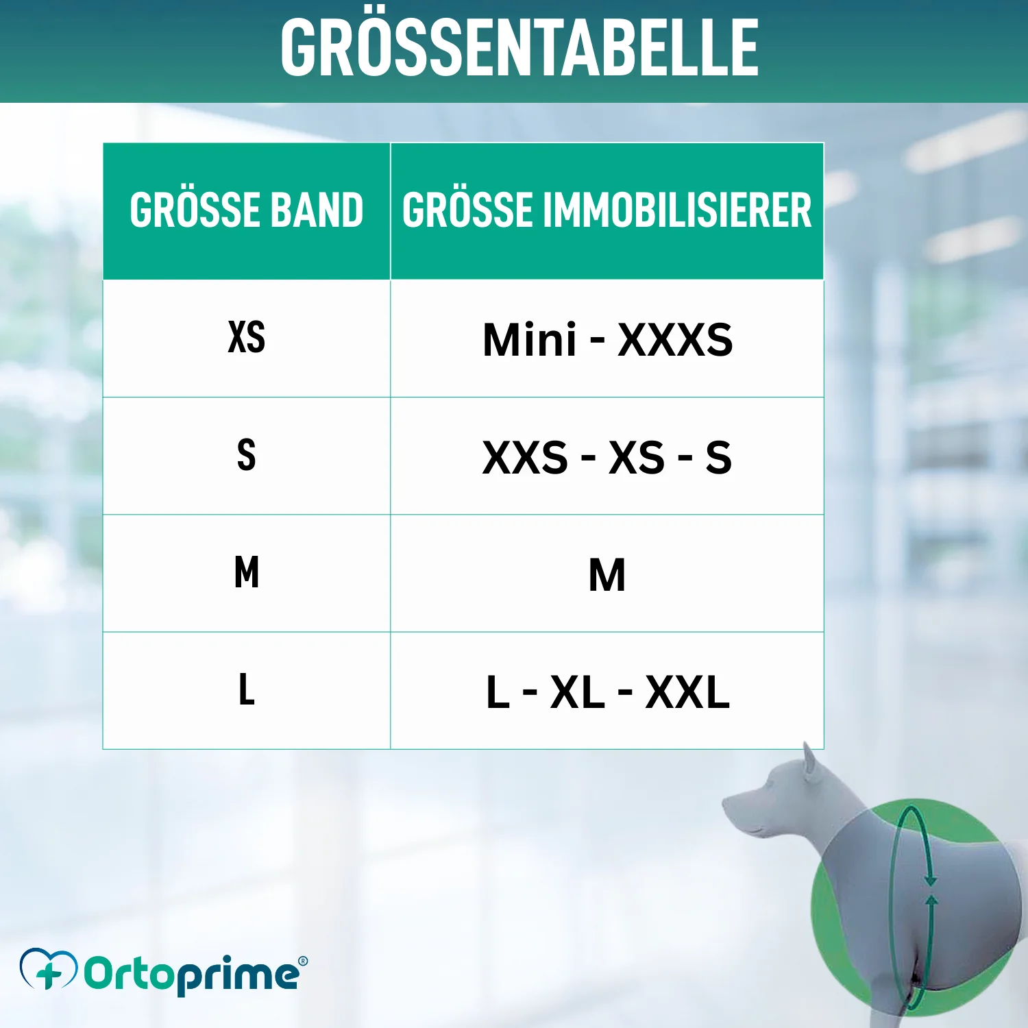 Hundeband zur Lendenstütze für Knieimmobilisierer - Image 2
