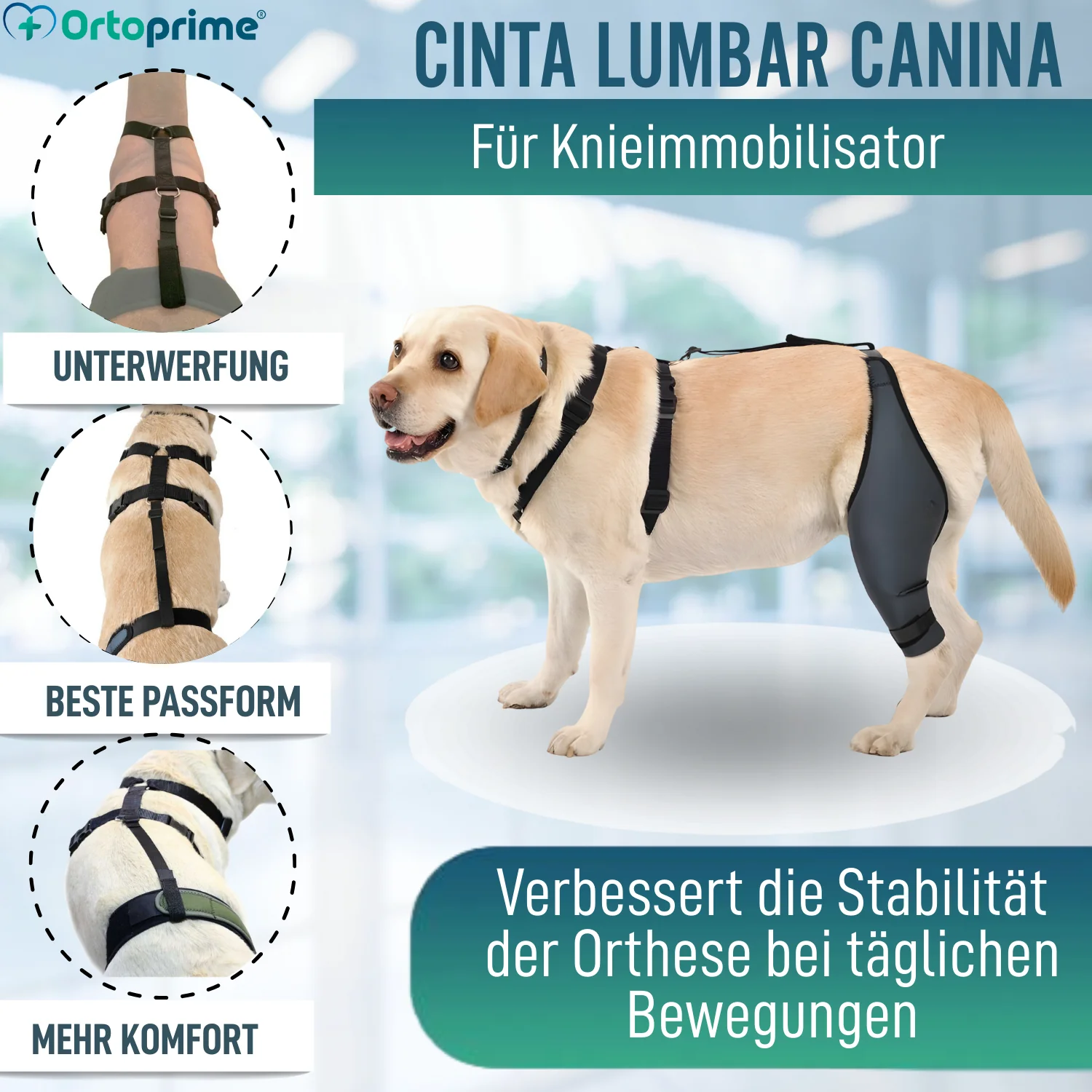 Hundeband zur Lendenstütze für Knieimmobilisierer - Image 3