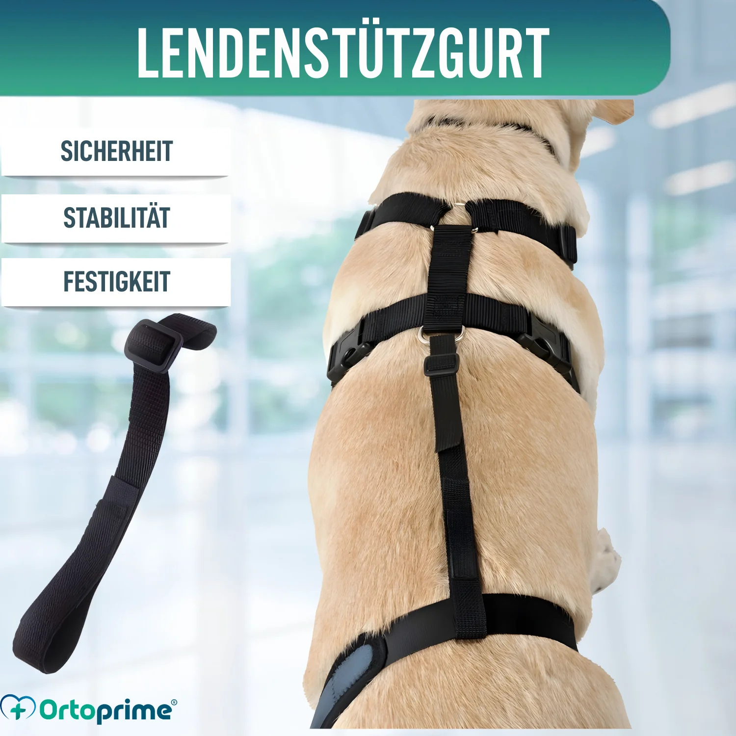Hundeband zur Lendenstütze für Knieimmobilisierer - Image 4