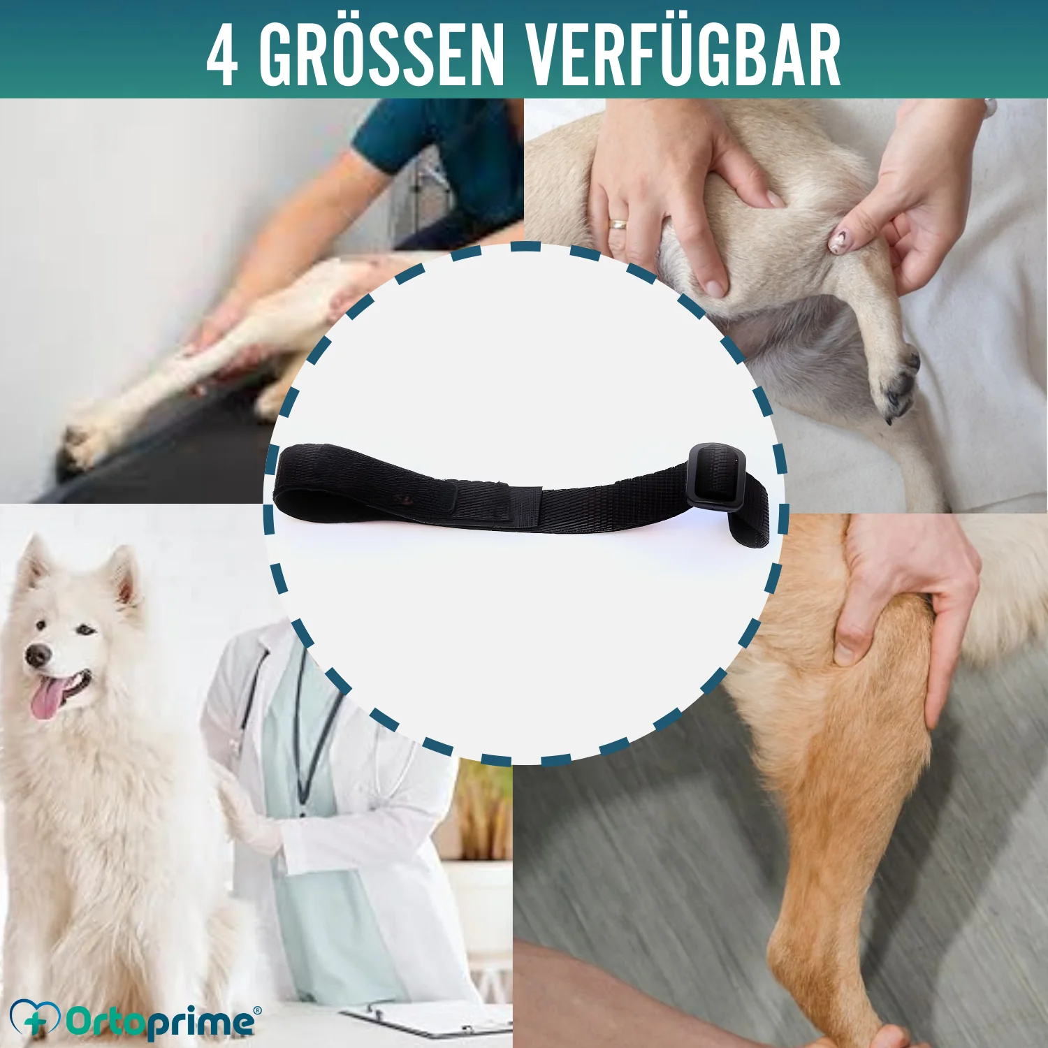 Hundeband zur Lendenstütze für Knieimmobilisierer - Image 6