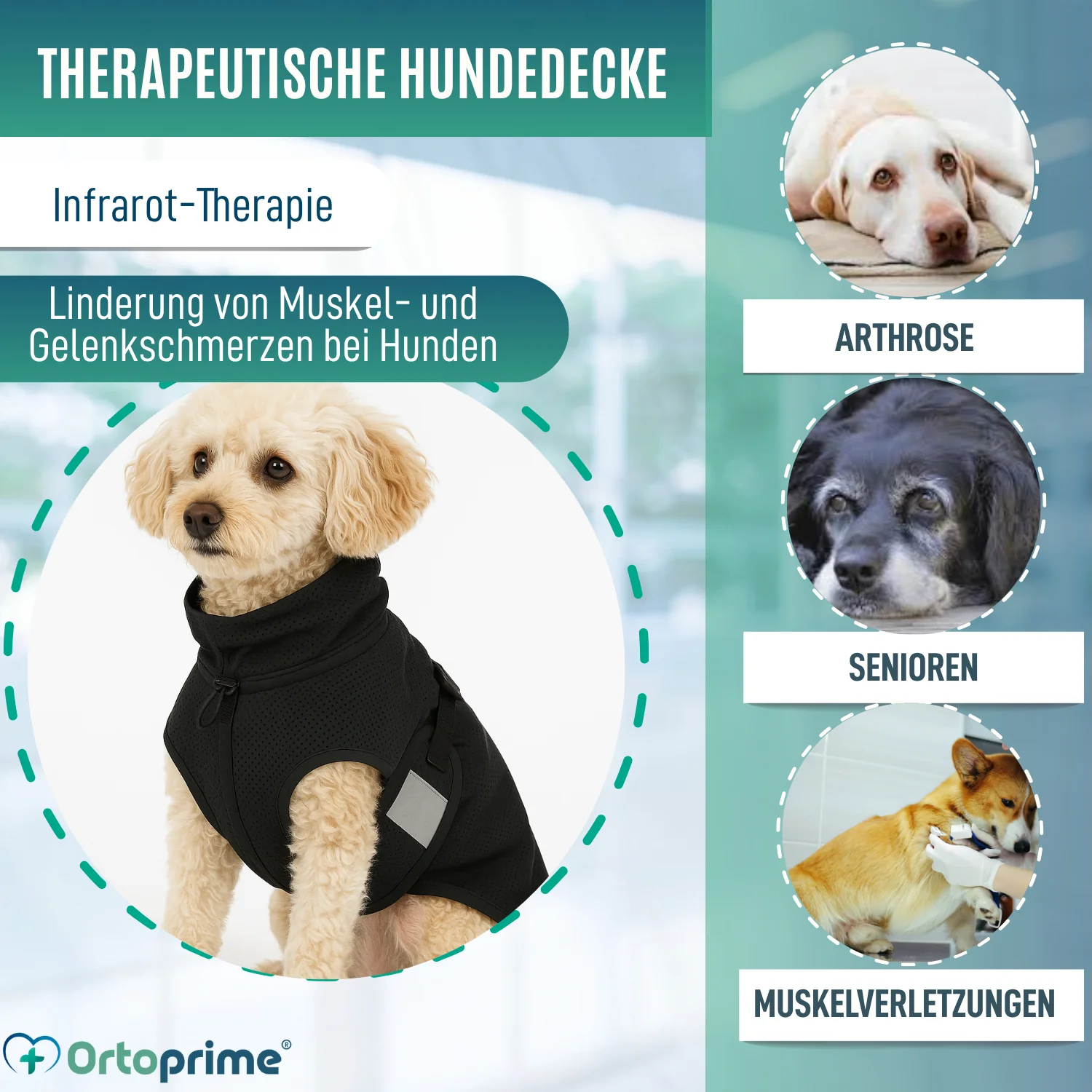 Hundedecke für Hunde mit Back on Track Gewebe | 21 Größen - Image 3