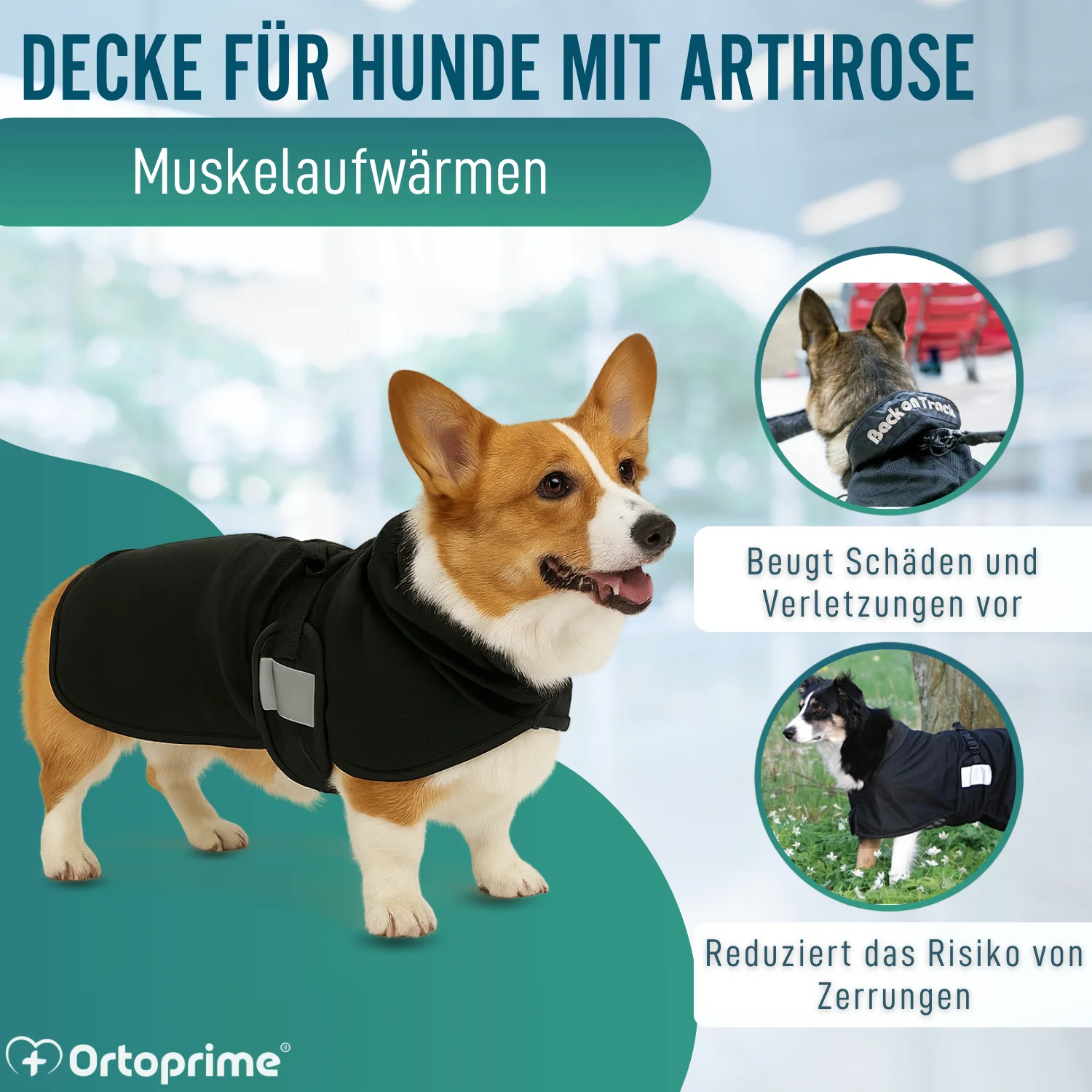 Hundedecke für Hunde mit Back on Track Gewebe | 21 Größen - Image 4