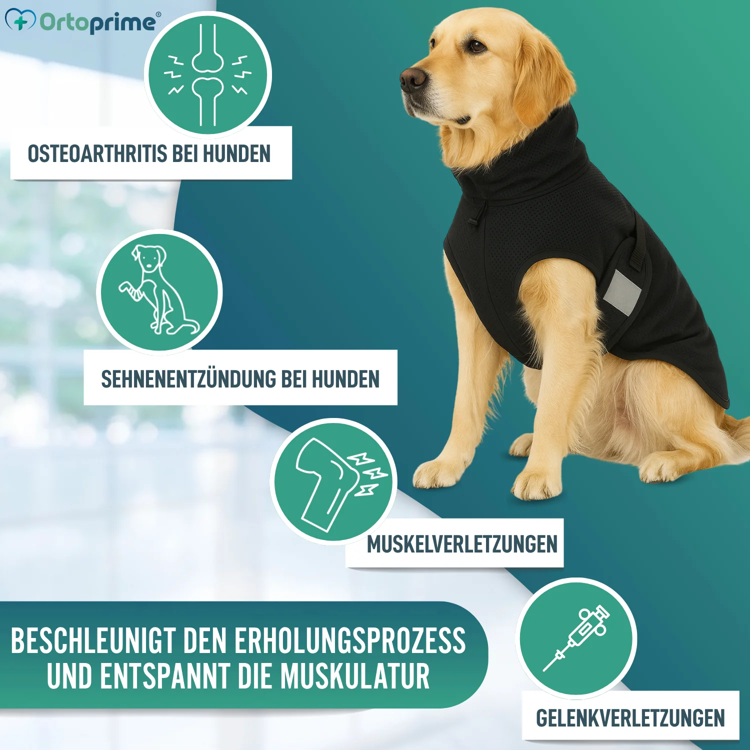 Hundedecke für Hunde mit Back on Track Gewebe | 21 Größen - Image 6