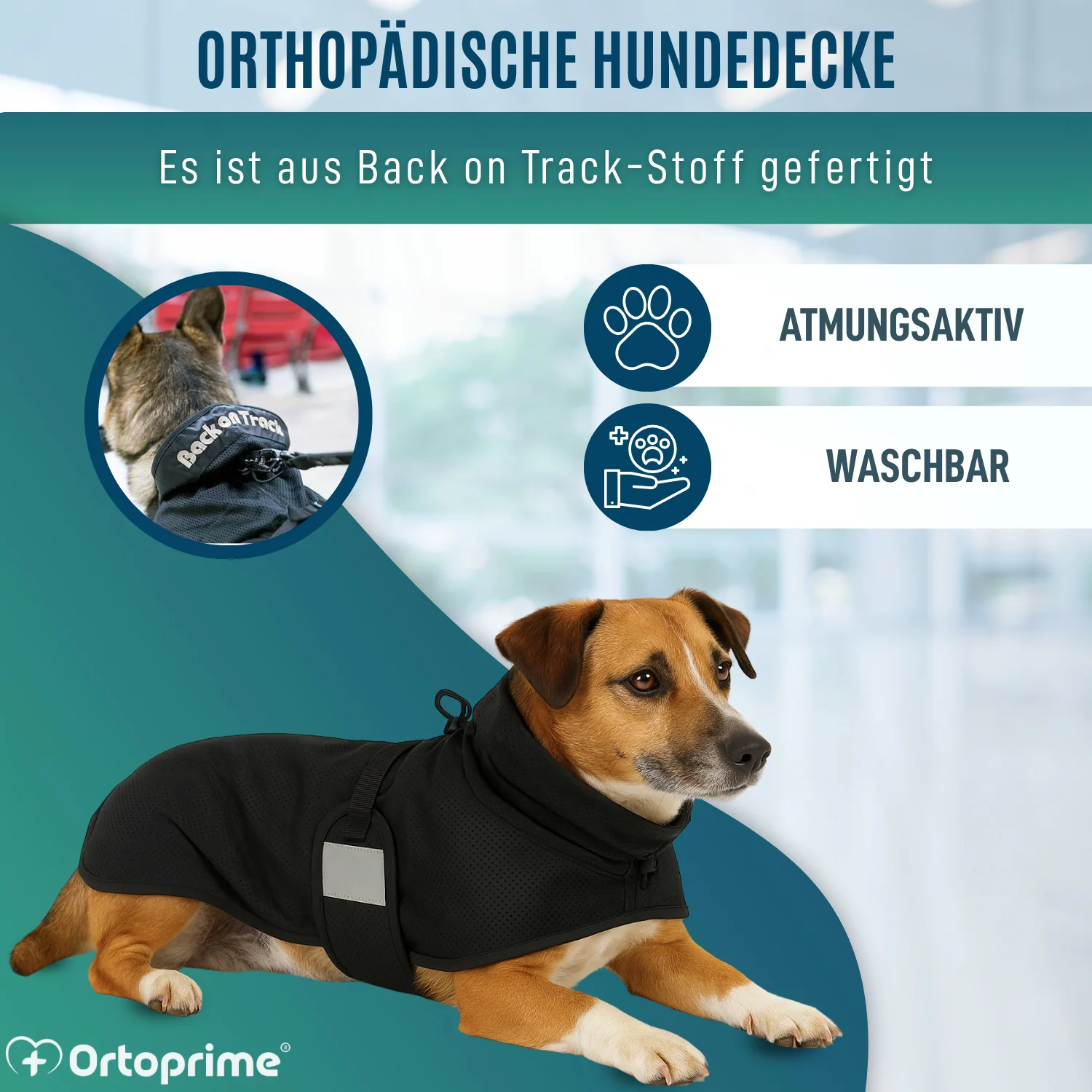 Hundedecke für Hunde mit Back on Track Gewebe | 21 Größen - Image 7