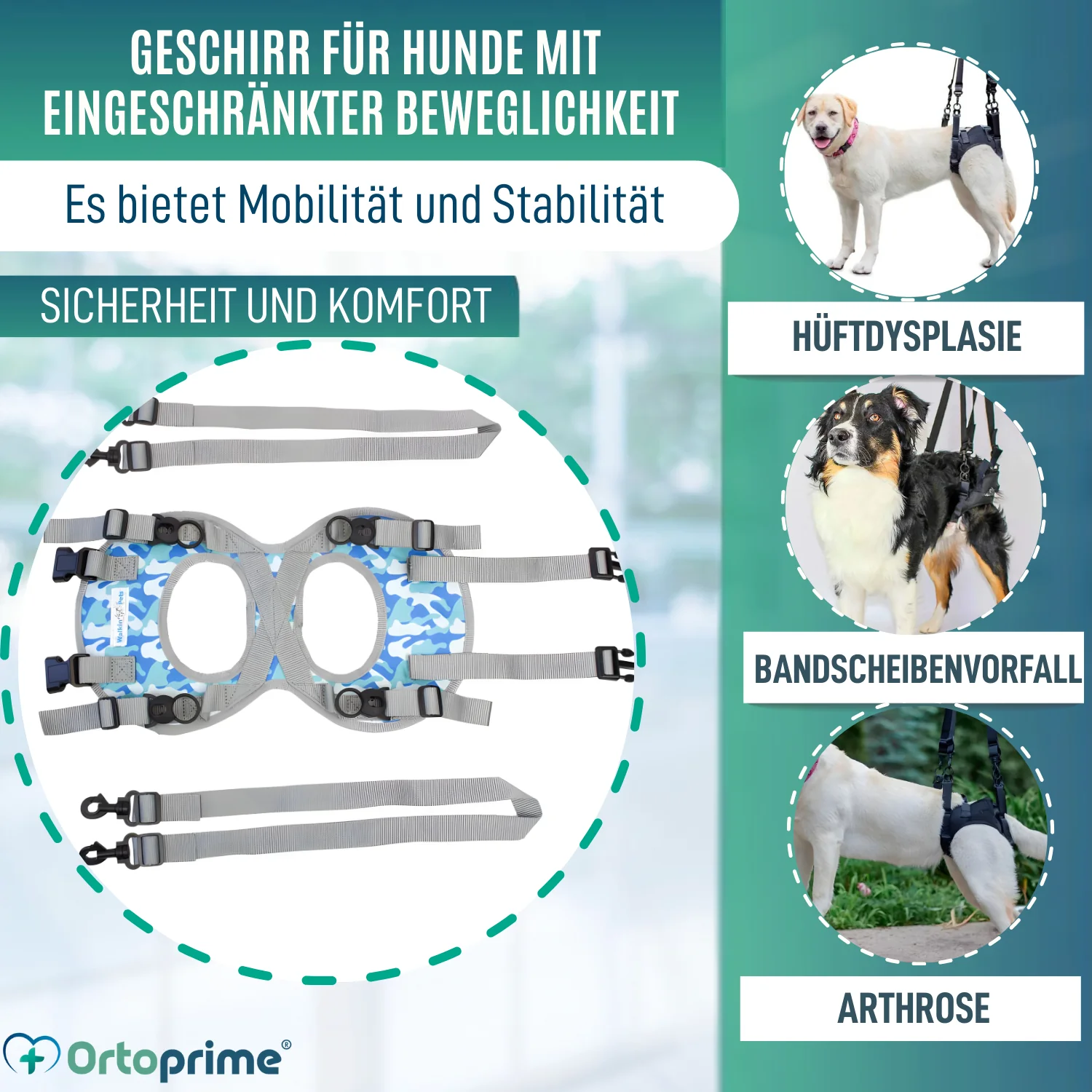 Hundegeschirr für Eingeschränkte Mobilität der Hinterbeine - Image 3