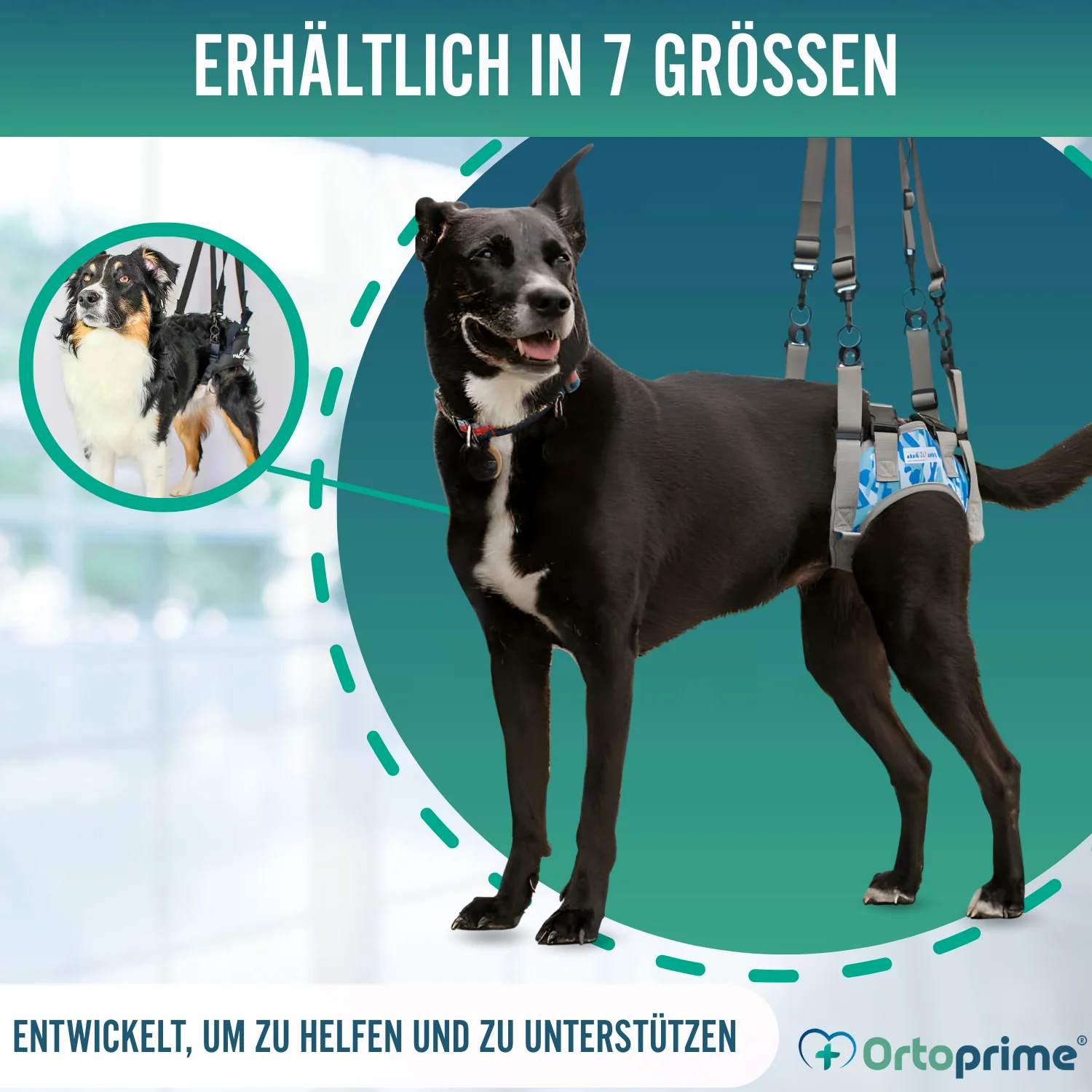Hundegeschirr für Eingeschränkte Mobilität der Hinterbeine - Image 4