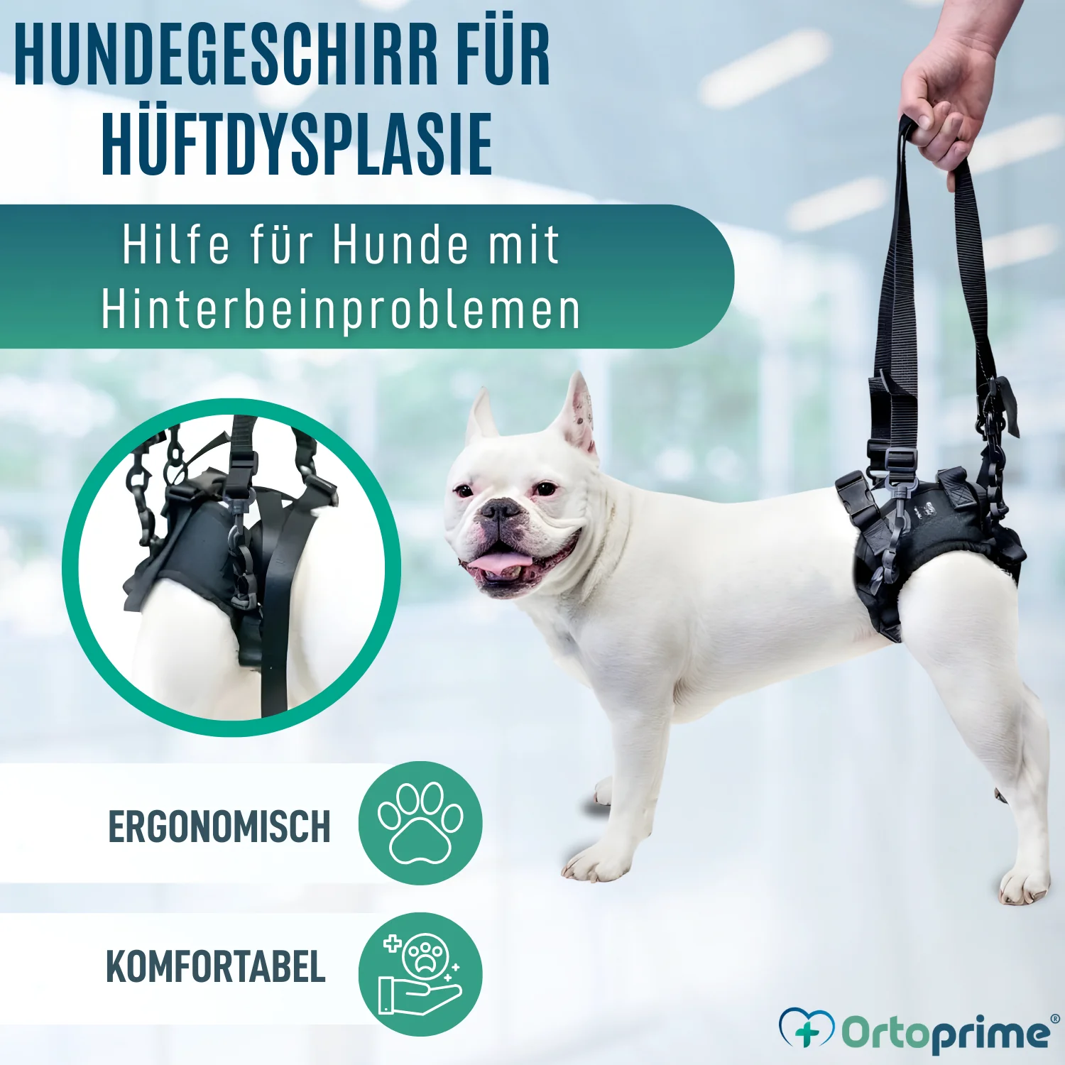 Hundegeschirr für Eingeschränkte Mobilität der Hinterbeine - Image 6