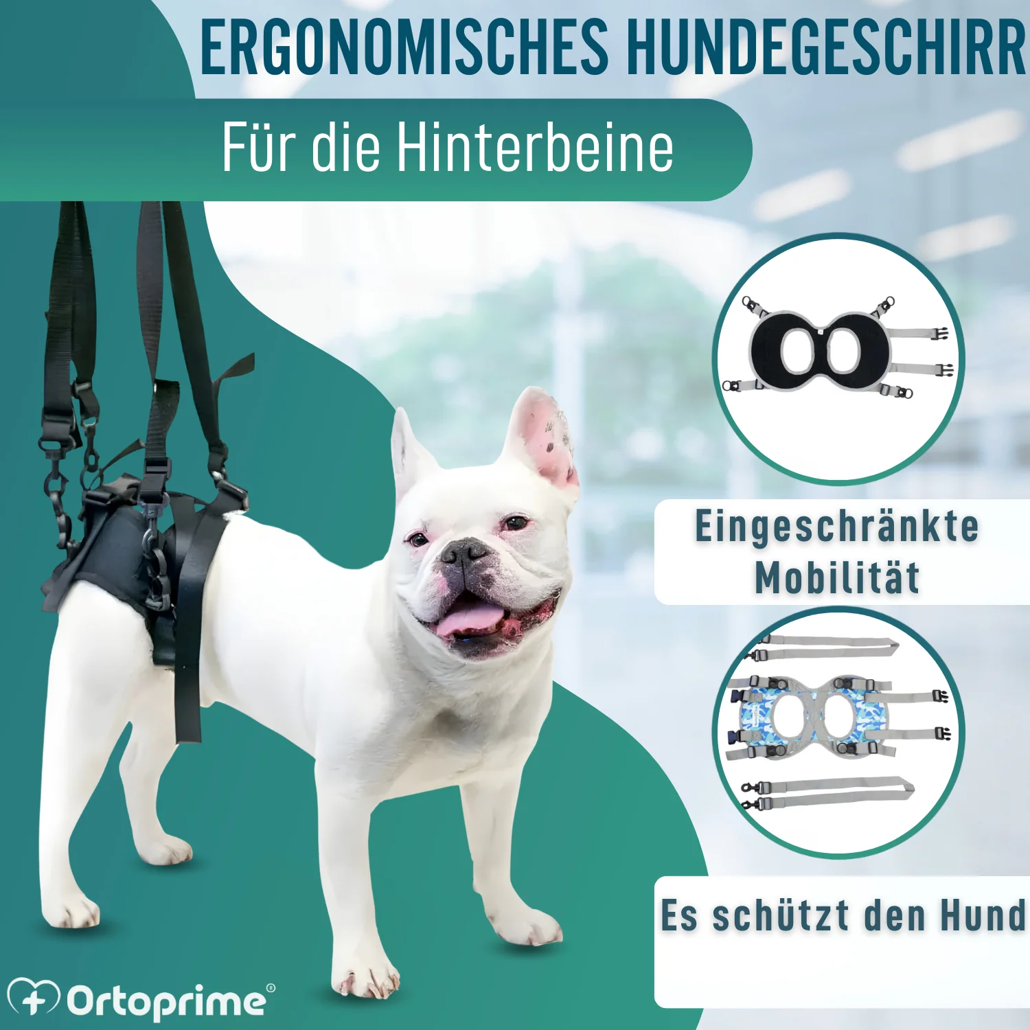 Hundegeschirr für Eingeschränkte Mobilität der Hinterbeine - Image 8