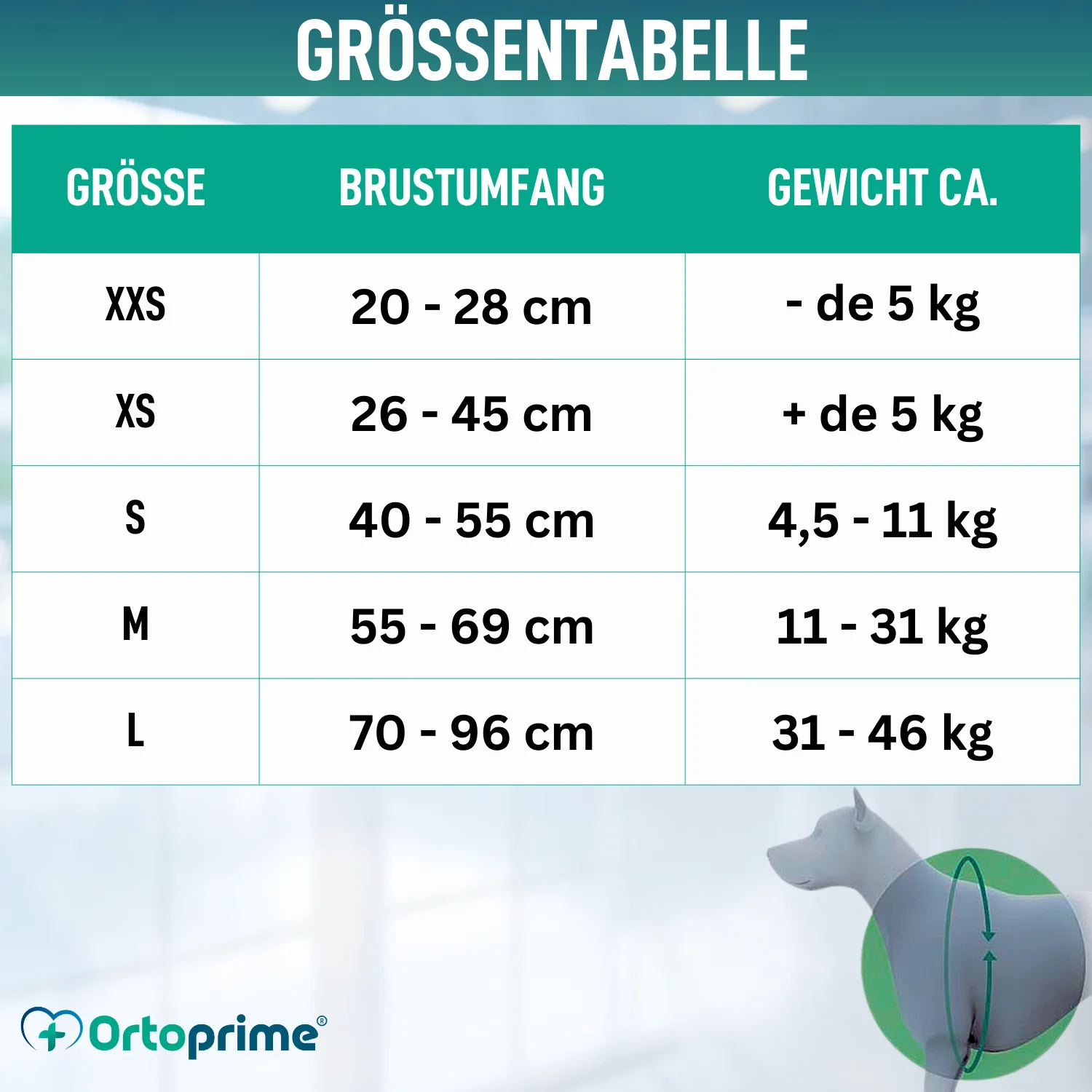 Hundegeschirr für Neurologische Rehabilitation | 5 Größen - Image 2
