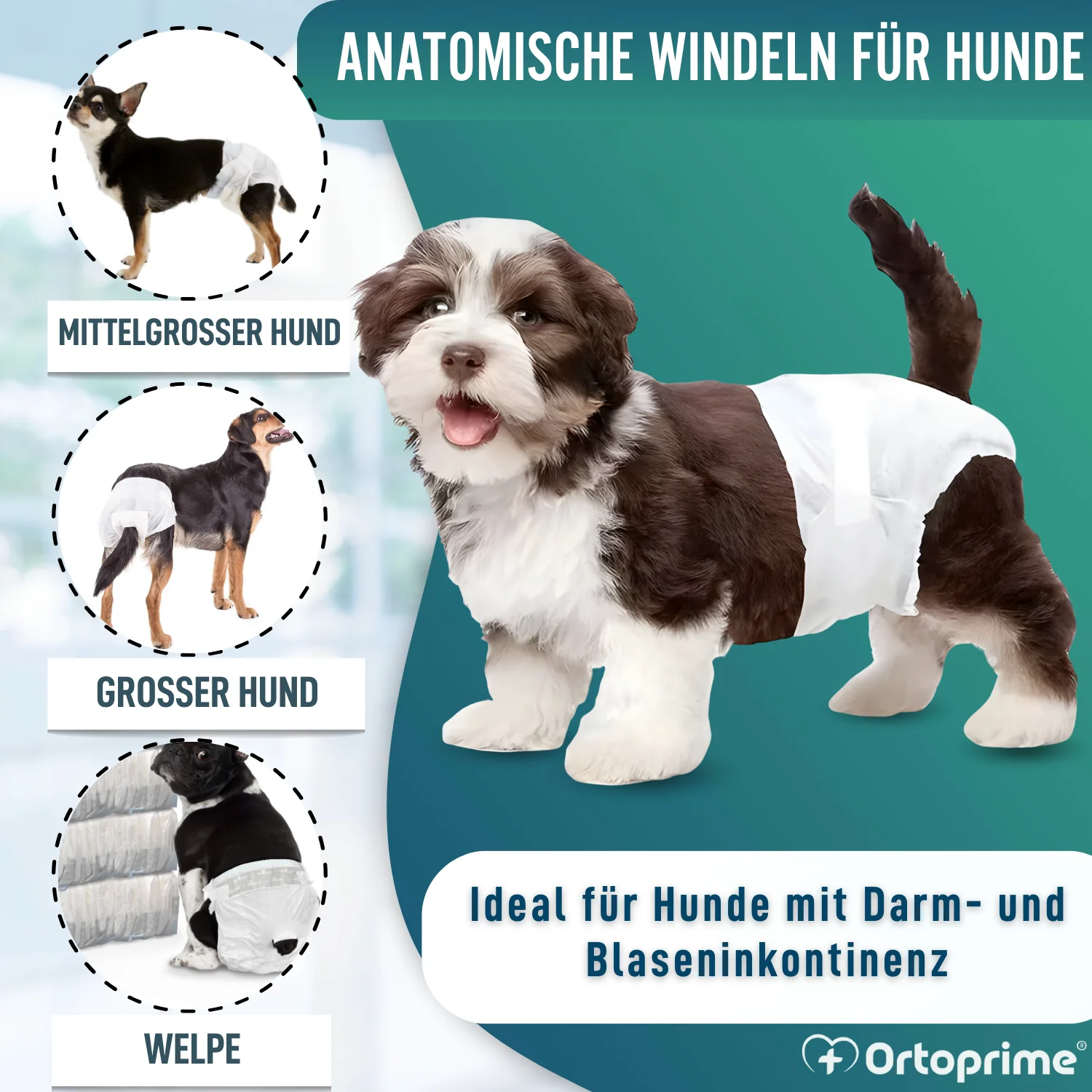 Hundewindeln für Hündinnen & Welpen | Hohe Saugkraft - Image 3