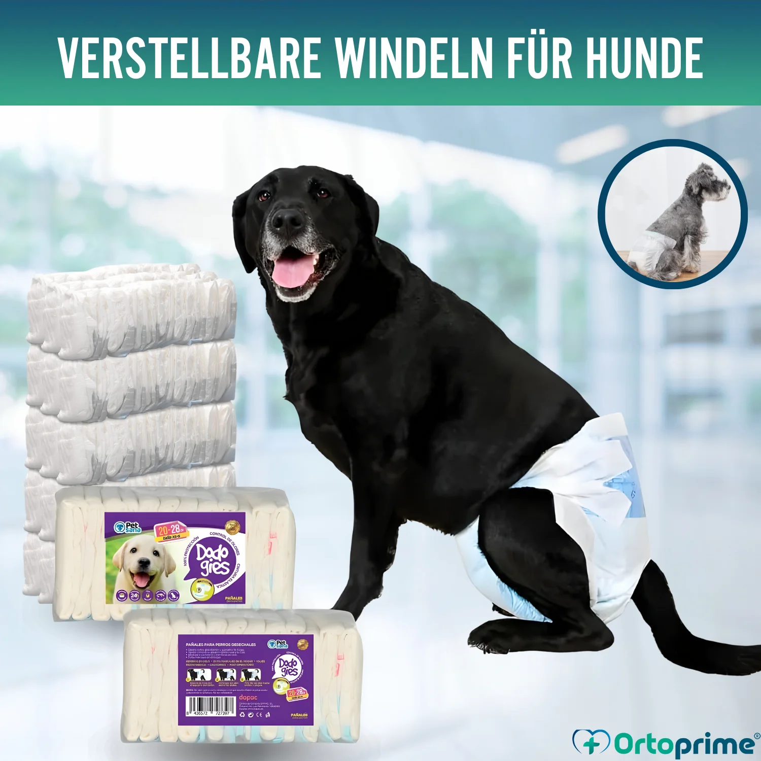 Hundewindeln für Hündinnen & Welpen | Hohe Saugkraft - Image 4
