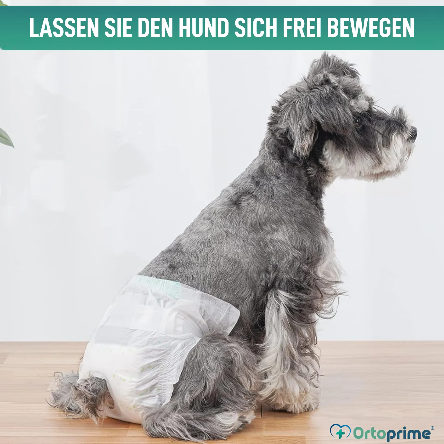 Hundewindeln für Hündinnen & Welpen | Hohe Saugkraft - Image 5