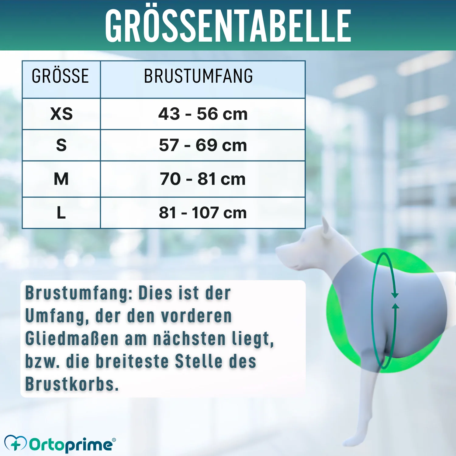 Kletter-Unterstützungsgeschirr für Hunde | Hohe Belastbarkeit - Image 2