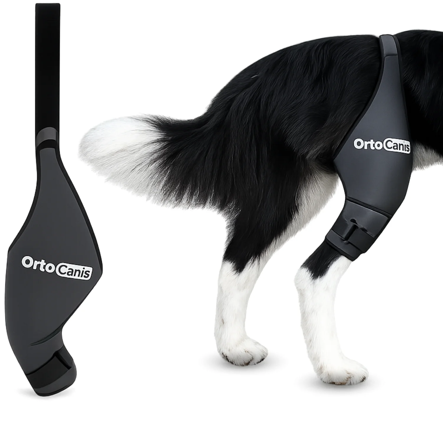 Knieimmobilisator für Hunde aus Neopren | 9 Größen