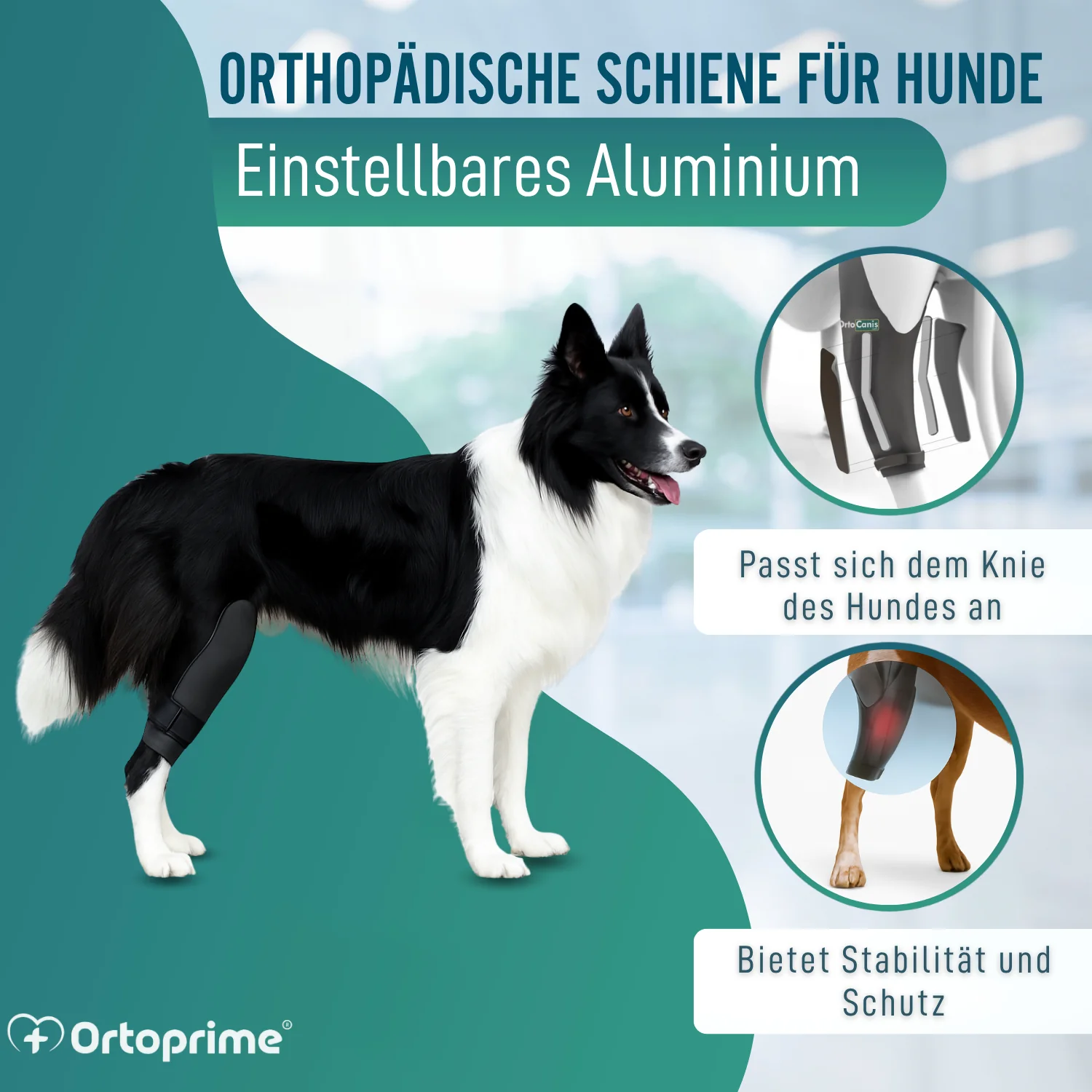 Knieimmobilisator für Hunde aus Neopren | 9 Größen - Image 4