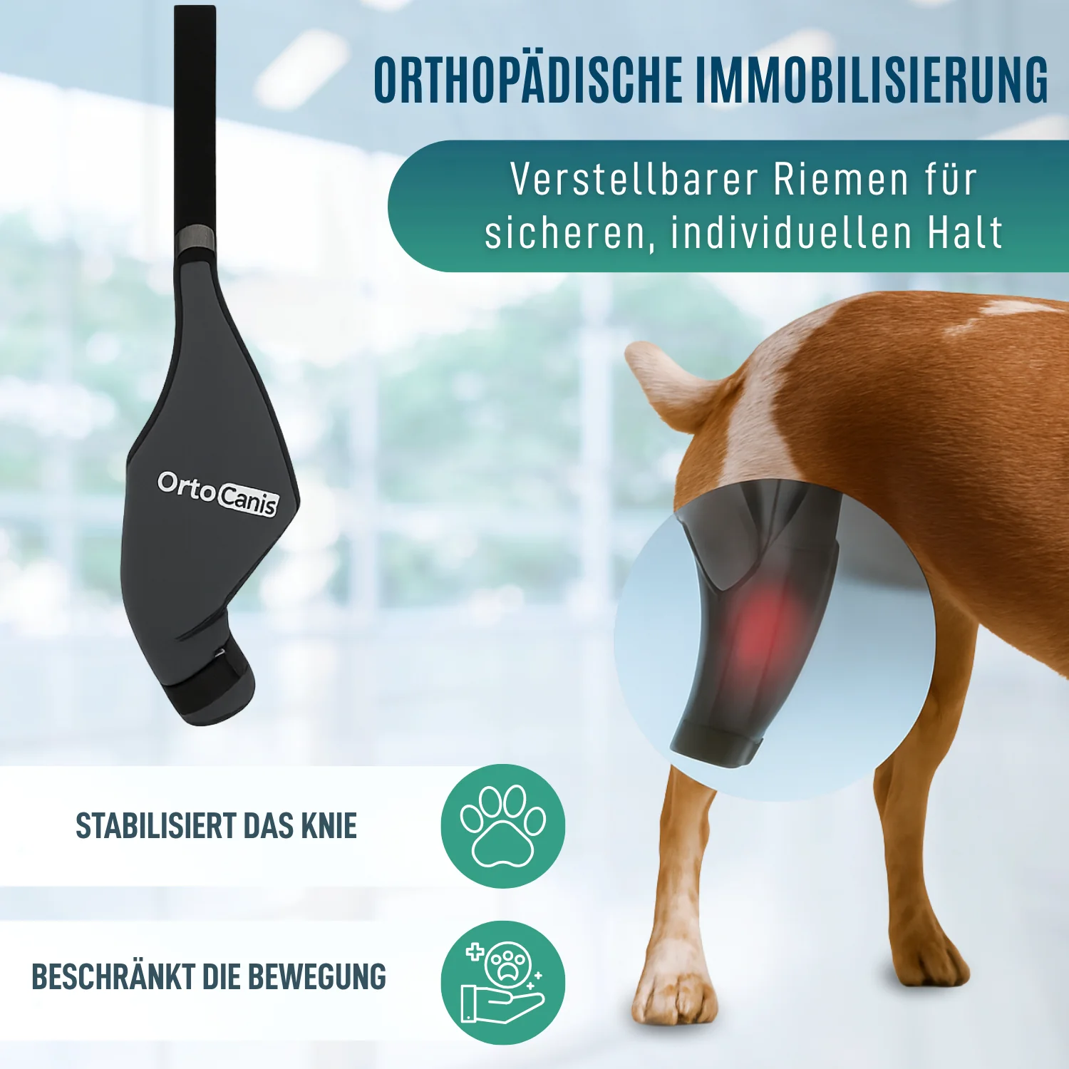 Knieimmobilisator für Hunde aus Neopren | 9 Größen - Image 5