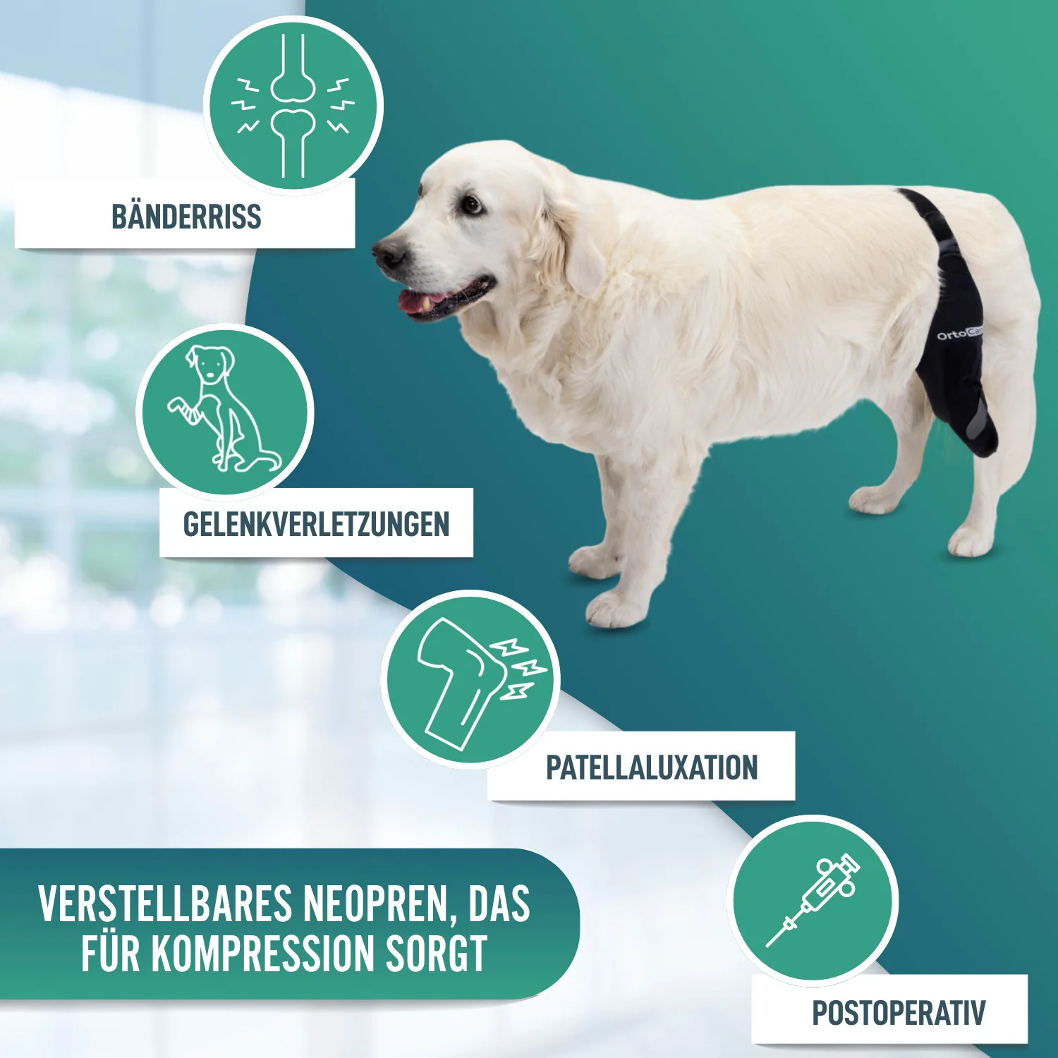 Knieimmobilisator für Hunde aus Neopren | 9 Größen - Image 6