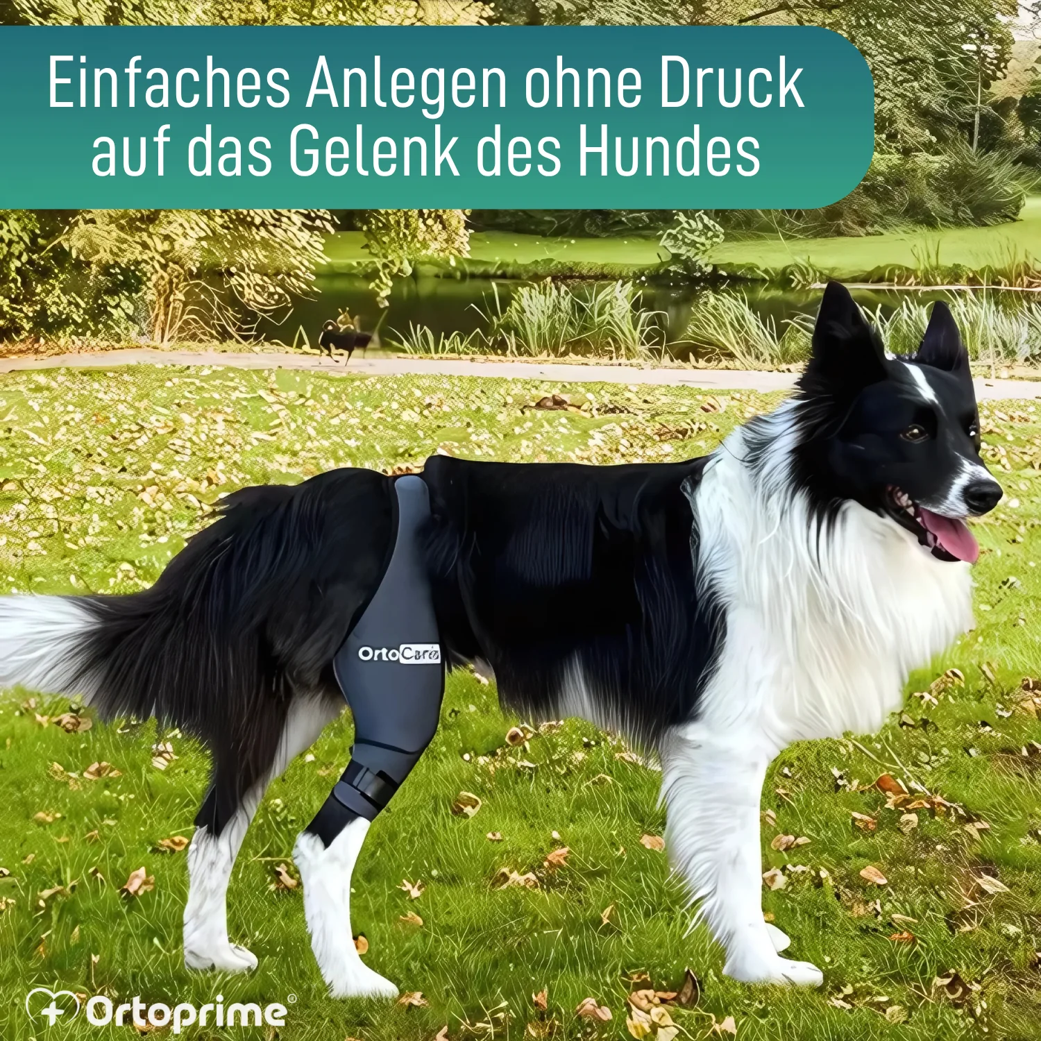 Knieimmobilisator für Hunde aus Neopren | 9 Größen - Image 7