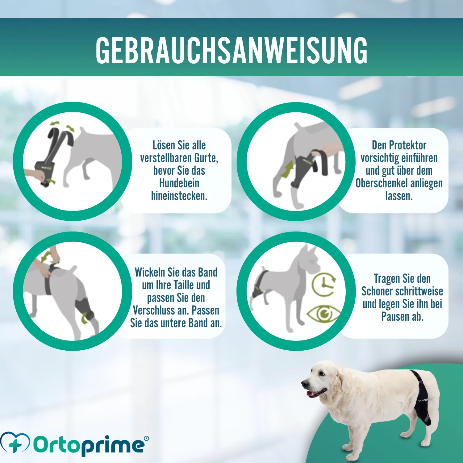 Knieimmobilisator für Hunde aus Neopren | 9 Größen - Image 8