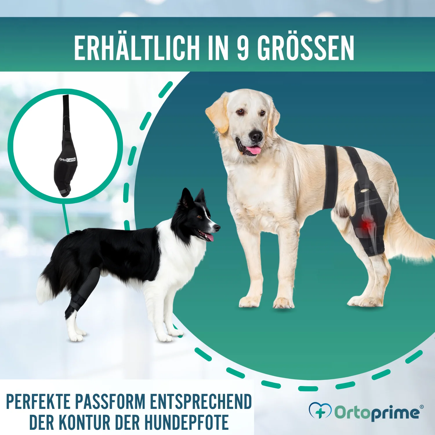Knieimmobilisator für Hunde aus Neopren | 9 Größen - Image 9