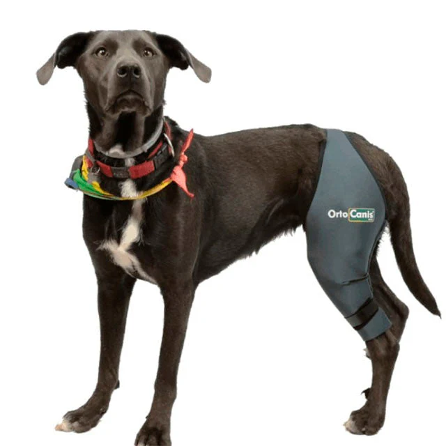 Knieschoner für Hunde mit Verstellbarem Band und Klettverschluss | Nach Größen - Image 4