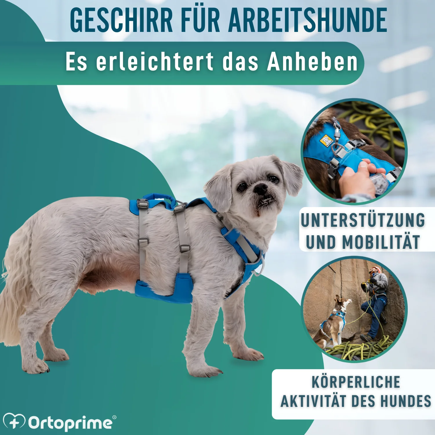 Multifunktionales Hebegeschirr für Hunde | Robuste Struktur - Image 5
