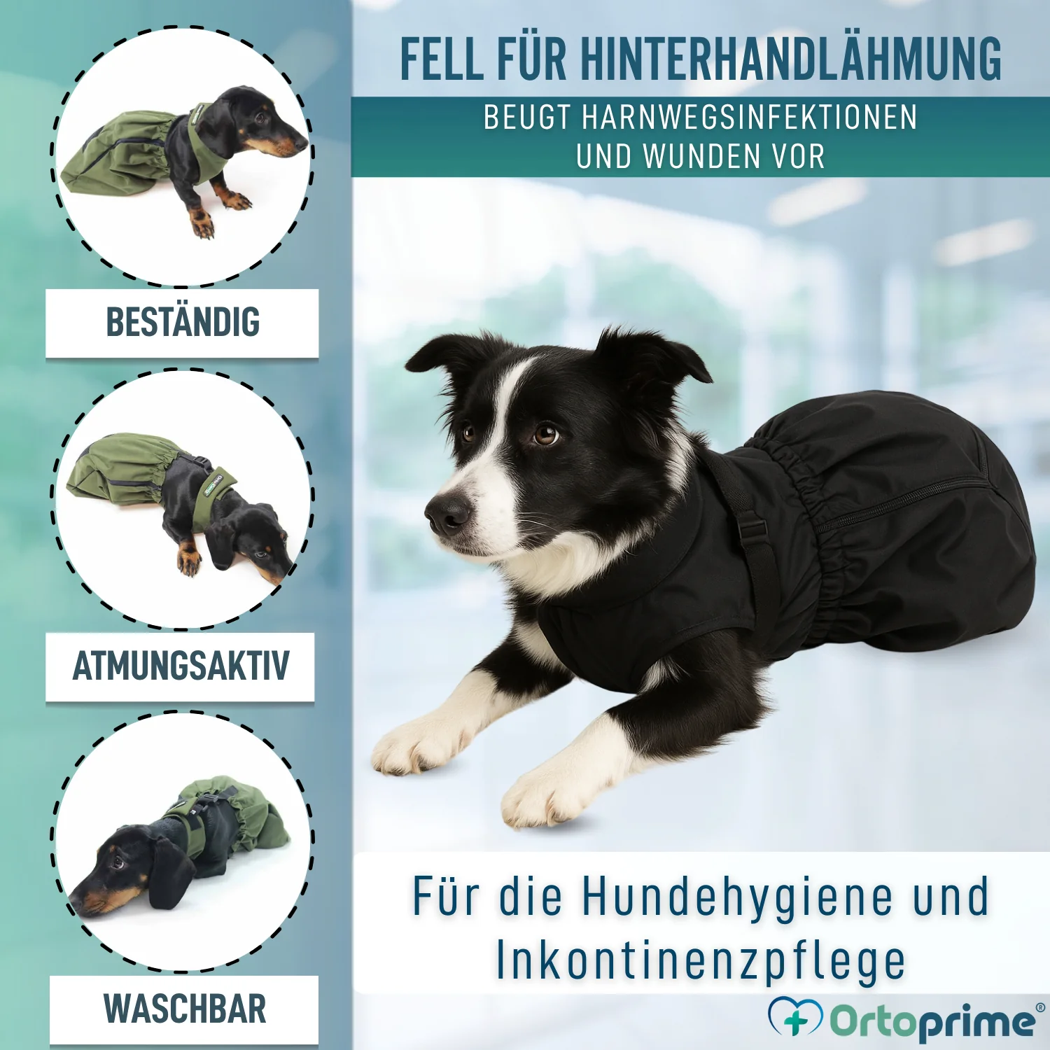 Nylonmantel für Hunde mit Bewegungseinschränkung | 6 Größen - Image 3