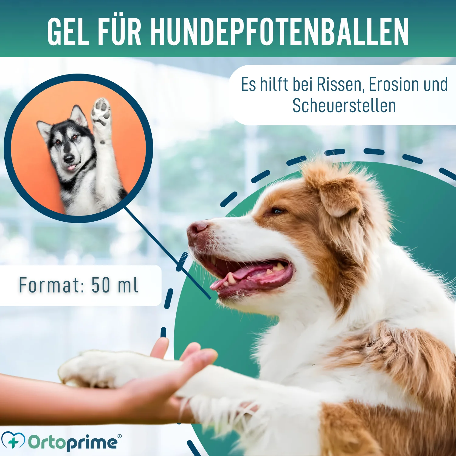 Pfotenbalsam für Hunde | Aloe Vera 50 ml - Image 2