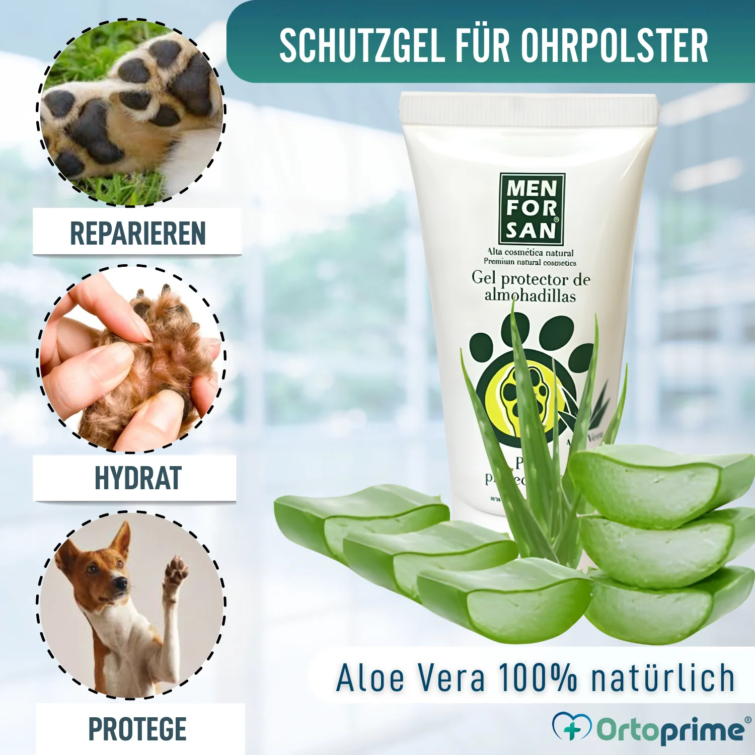 Pfotenbalsam für Hunde | Aloe Vera 50 ml - Image 6