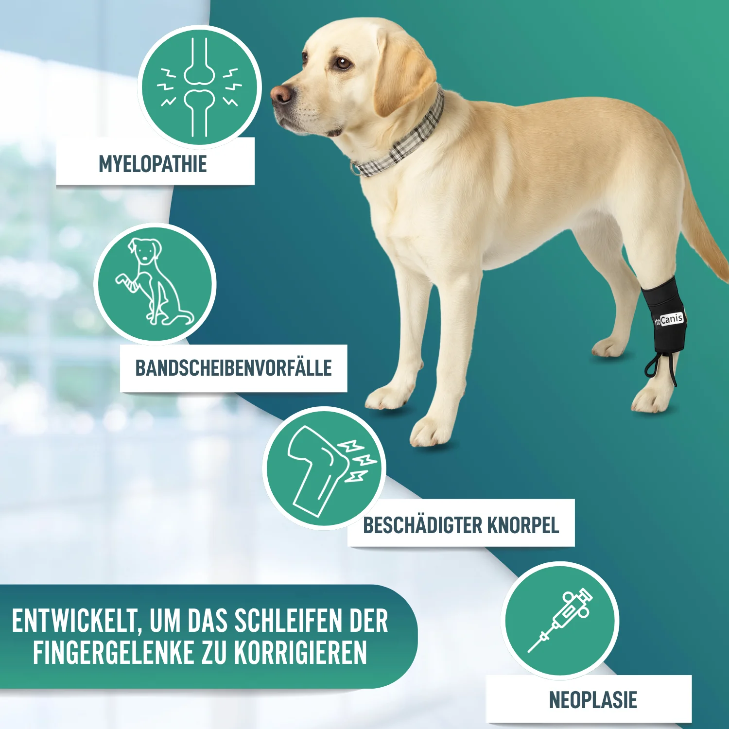 Propriozeptiver Korrektor für Hunde mit Knuckling | 5 Größen - Image 5