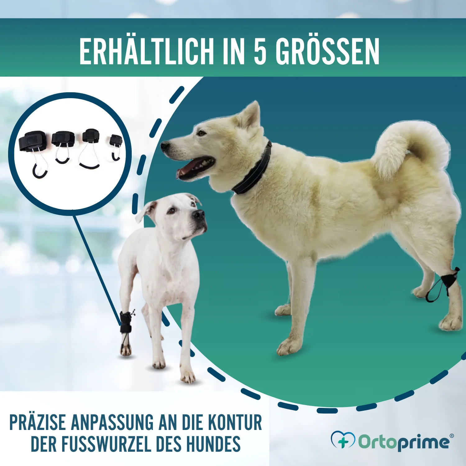 Propriozeptiver Korrektor für Hunde mit Knuckling | 5 Größen - Image 6