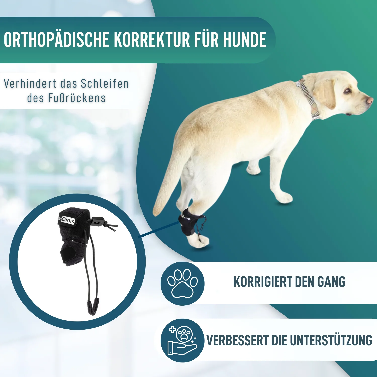 Propriozeptiver Korrektor für Hunde mit Knuckling | 5 Größen - Image 8