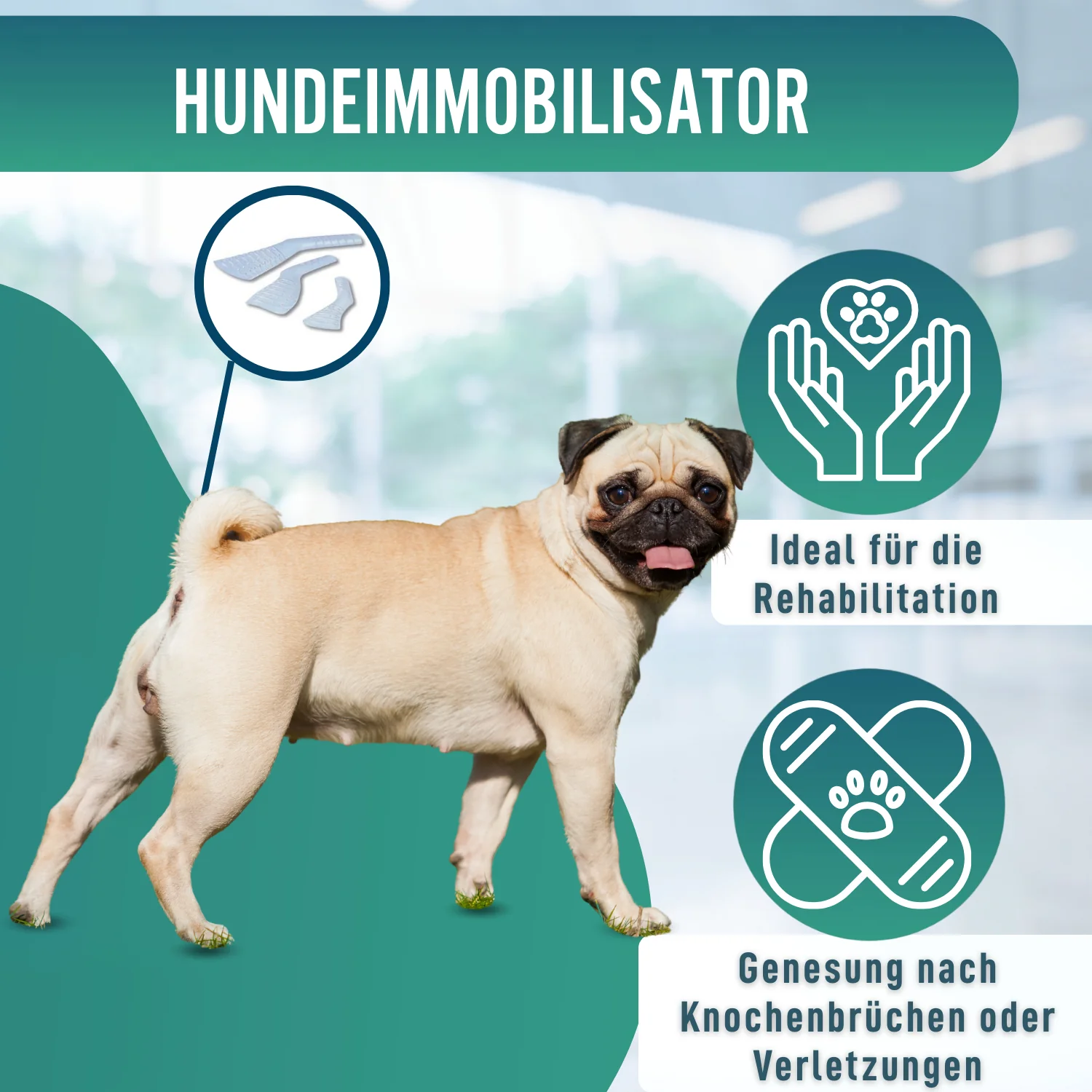 Schnellschiene für Hunde und Katzen | 3 Größen - Image 6