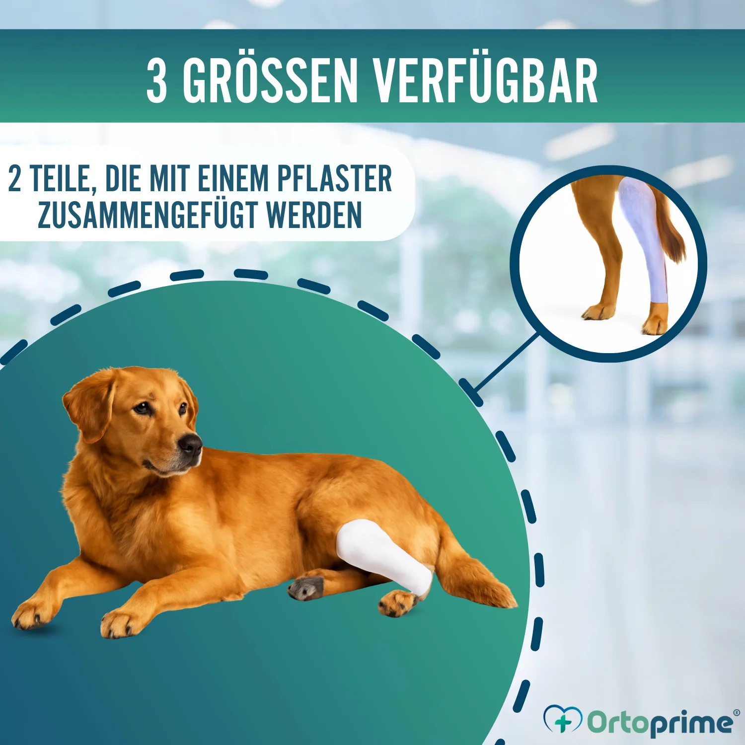 Schnellschiene für Hunde und Katzen | 3 Größen - Image 8