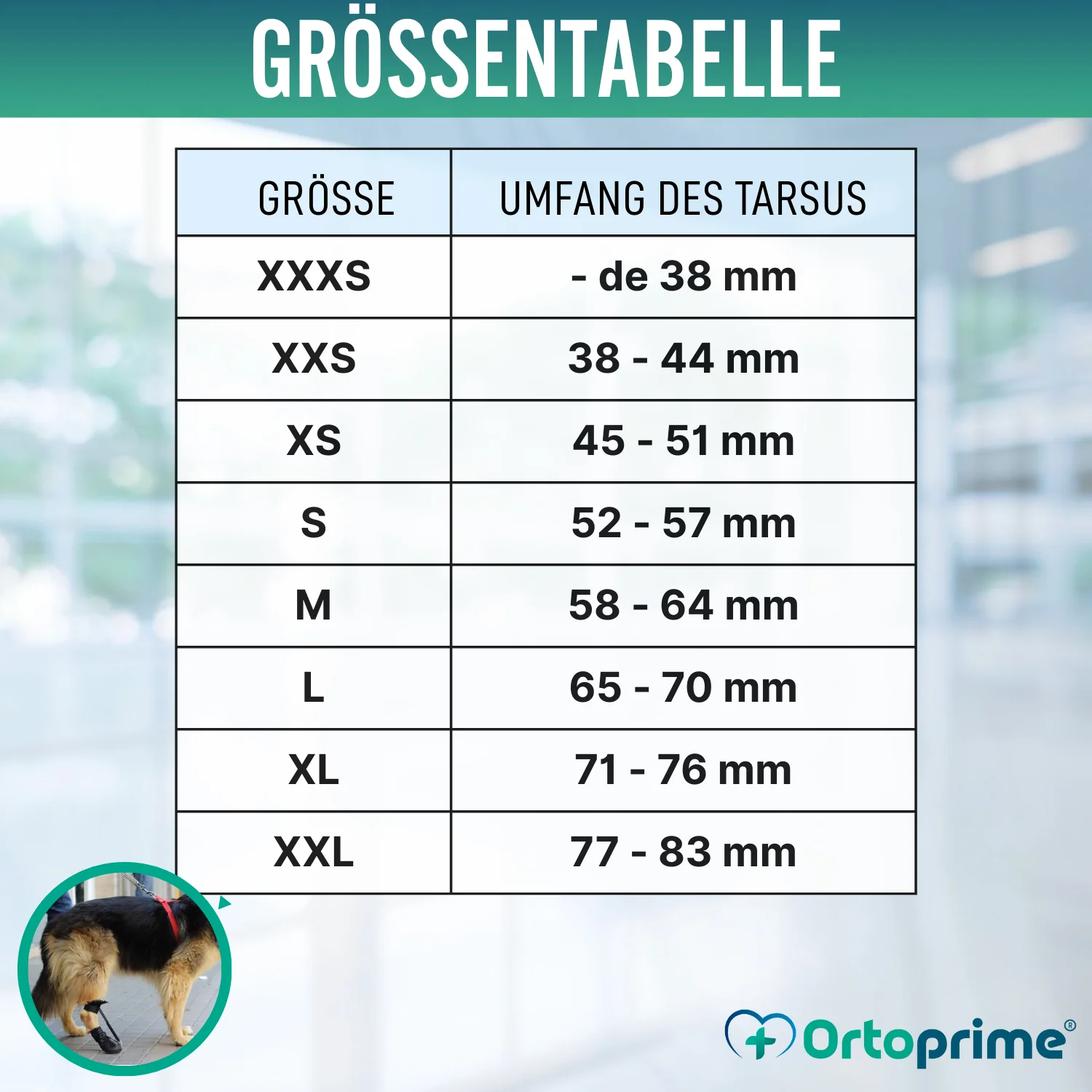 Schuh für Propriozeptiven Hundekorrektor | Gummisohle - Image 2
