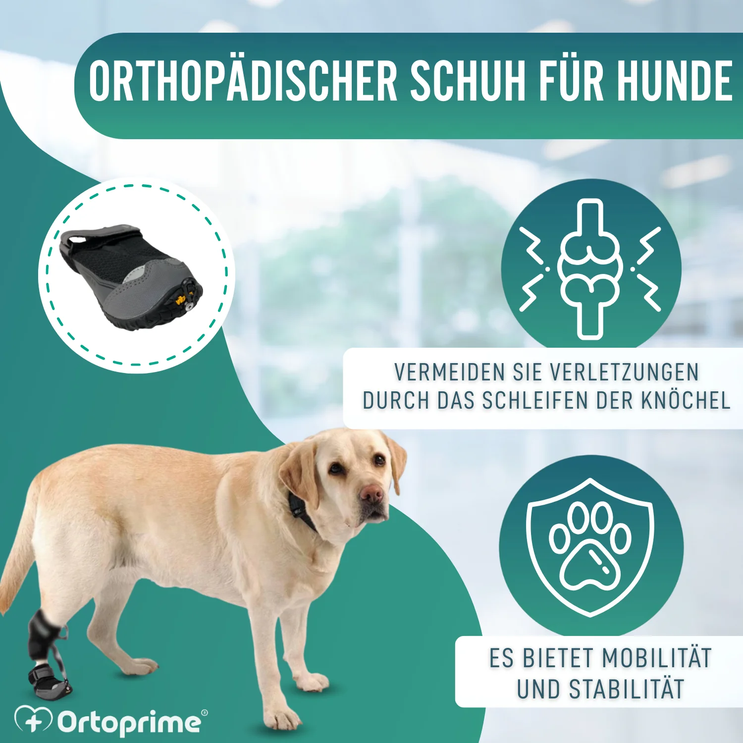 Schuh für Propriozeptiven Hundekorrektor | Gummisohle - Image 4