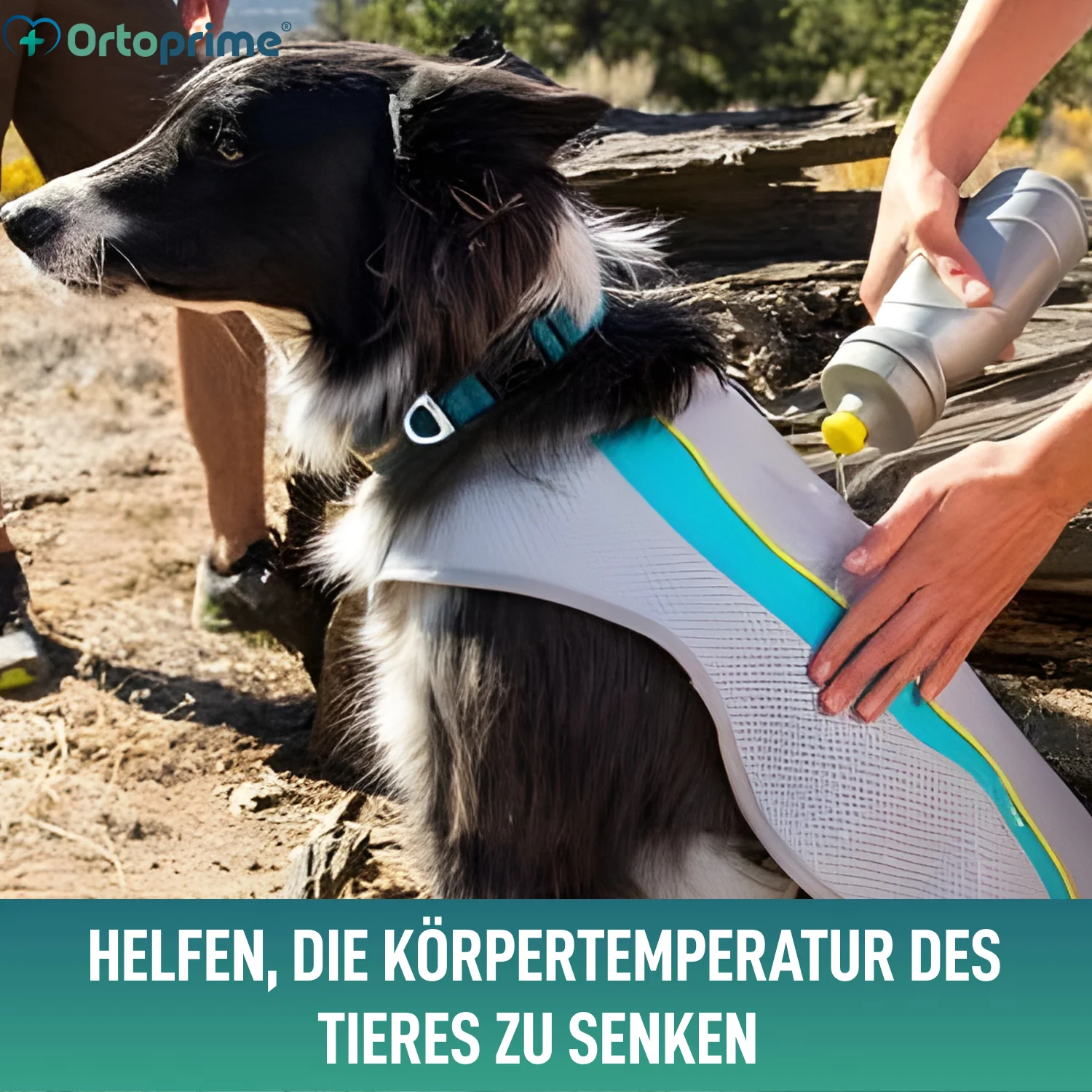 Sommerweste für Hunde | Kühlung durch Verdunstung - Image 6